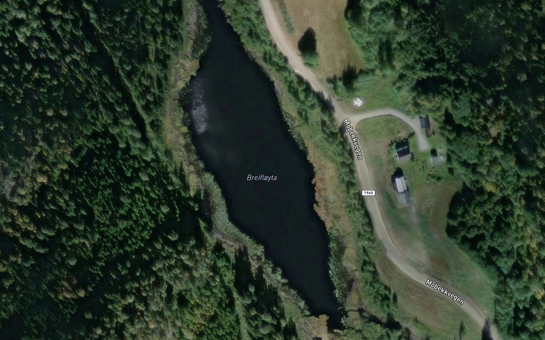 Satellite map of the Breifloyta