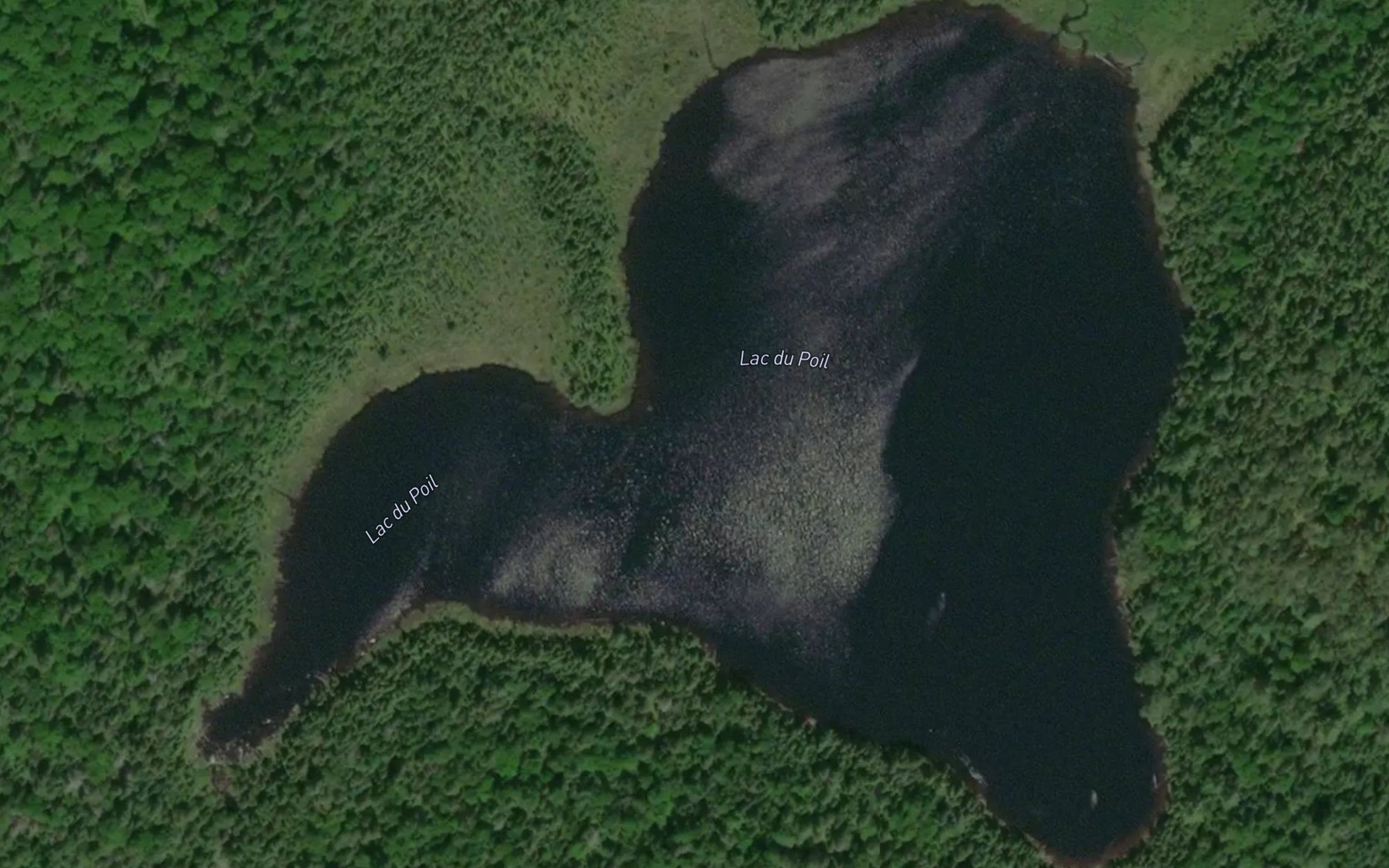 Satellite map of the Lac du Poil
