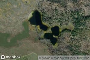 Arthur Lake