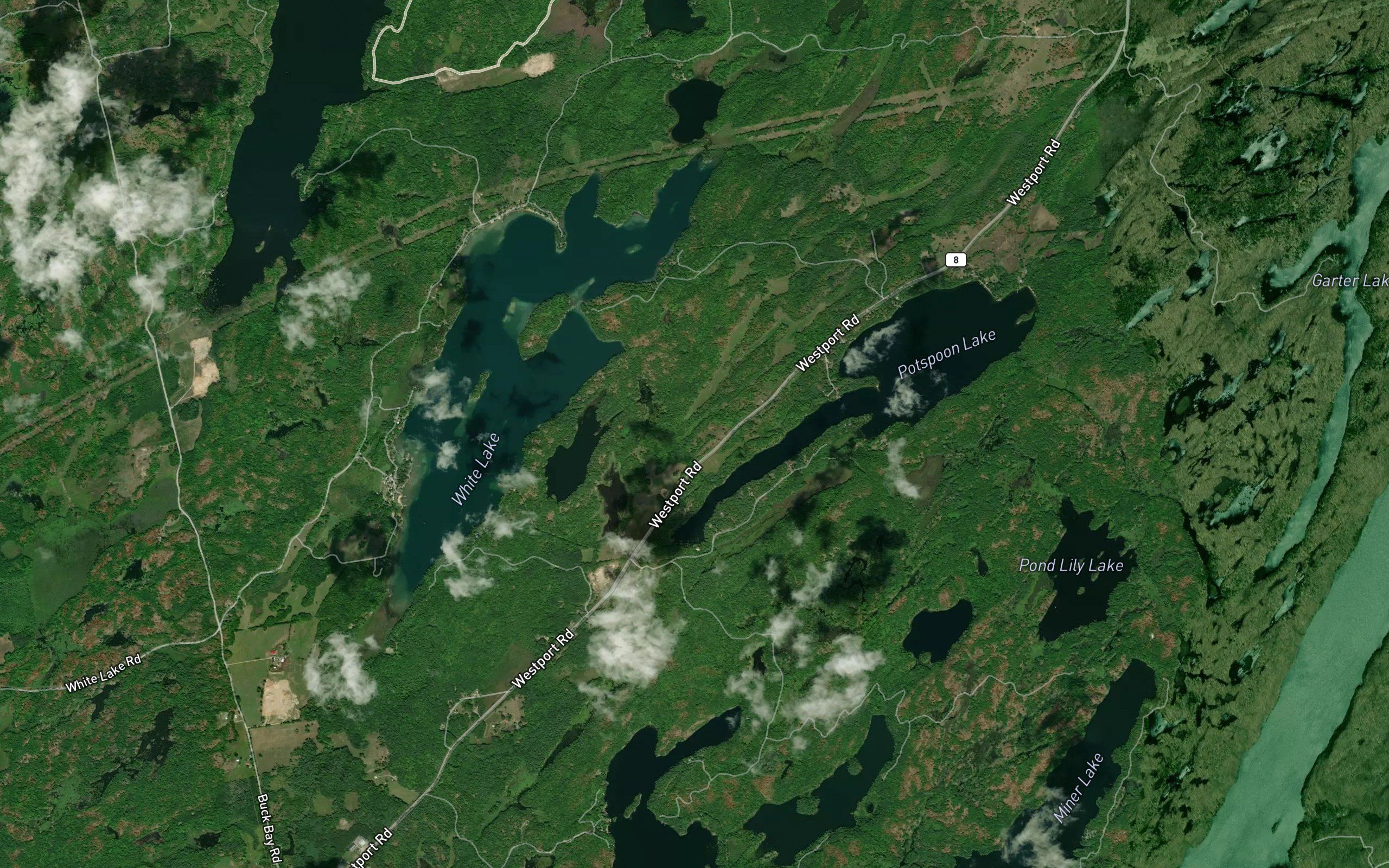 Barrett Pond
