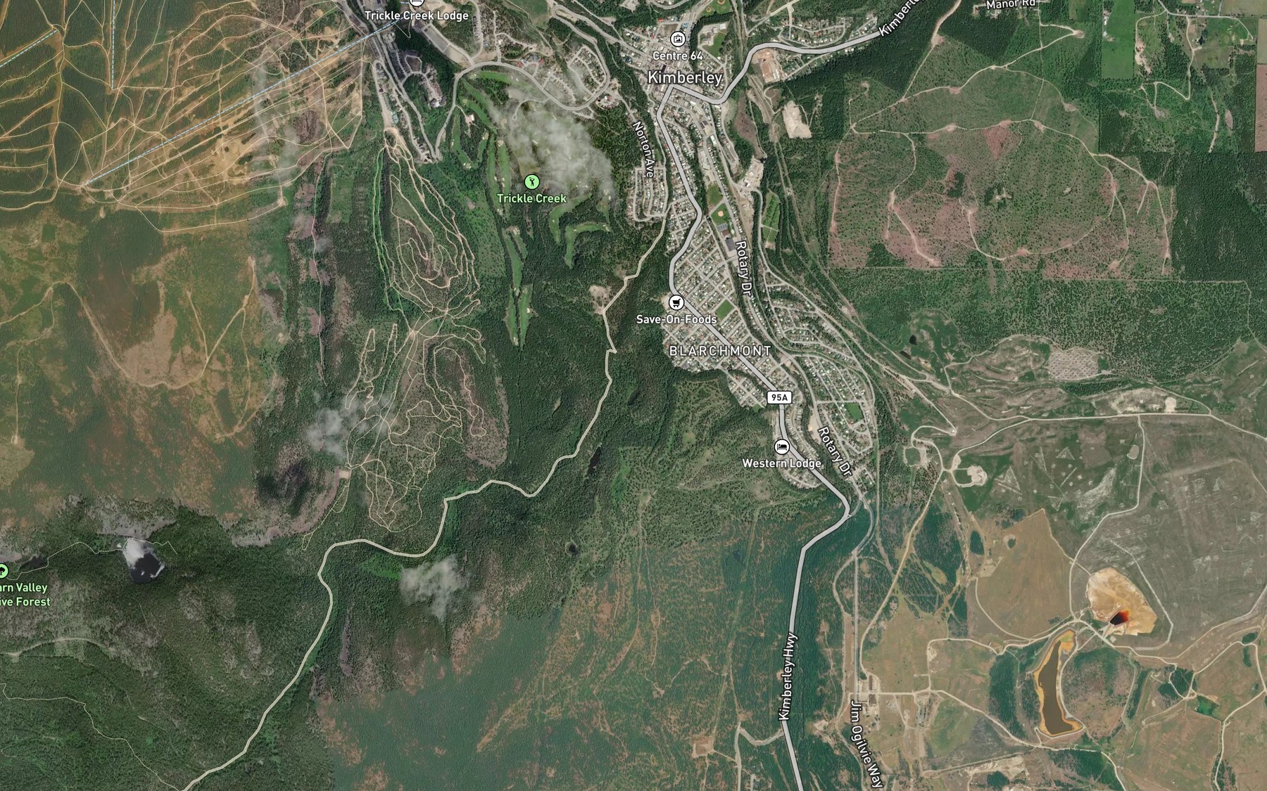 Satellite map of the Elmer Lake