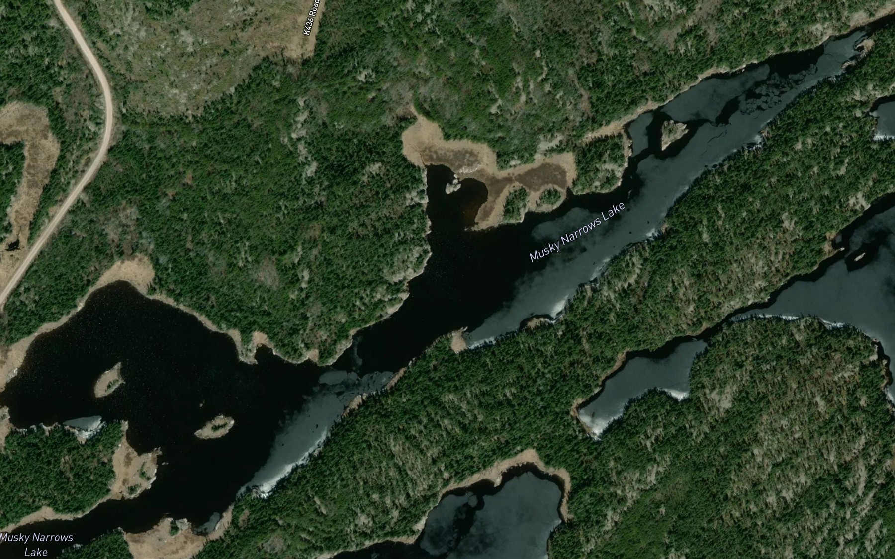 Satellite map of the Musky Narrows Lake