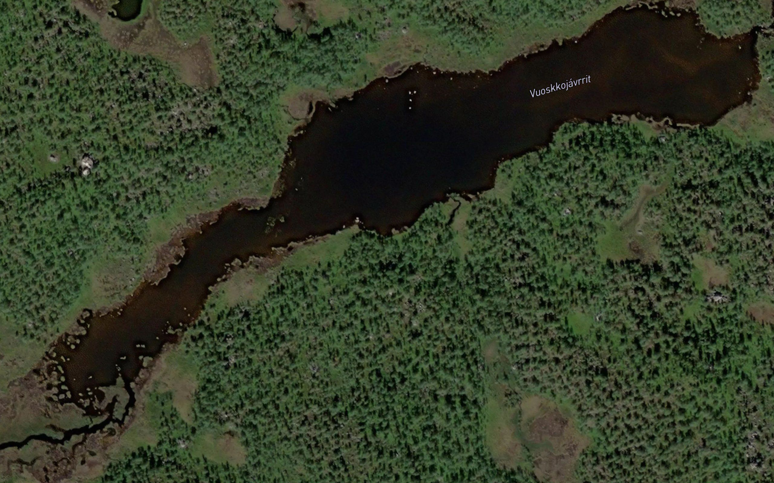 Abbortjornan