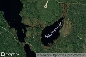 Naukupuro