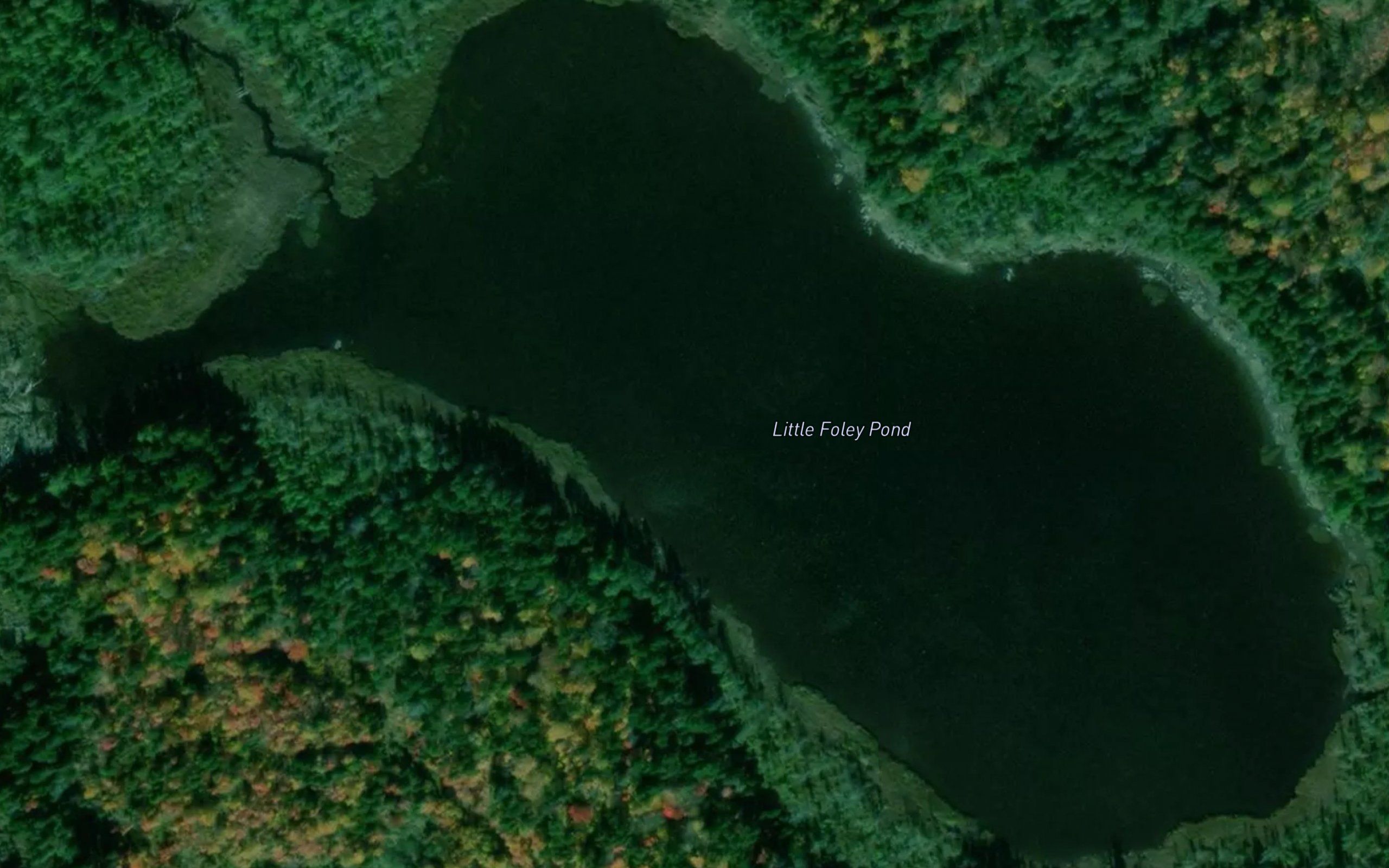 Little Foley Pond