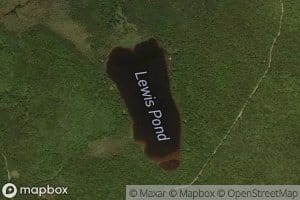 Lewis Pond