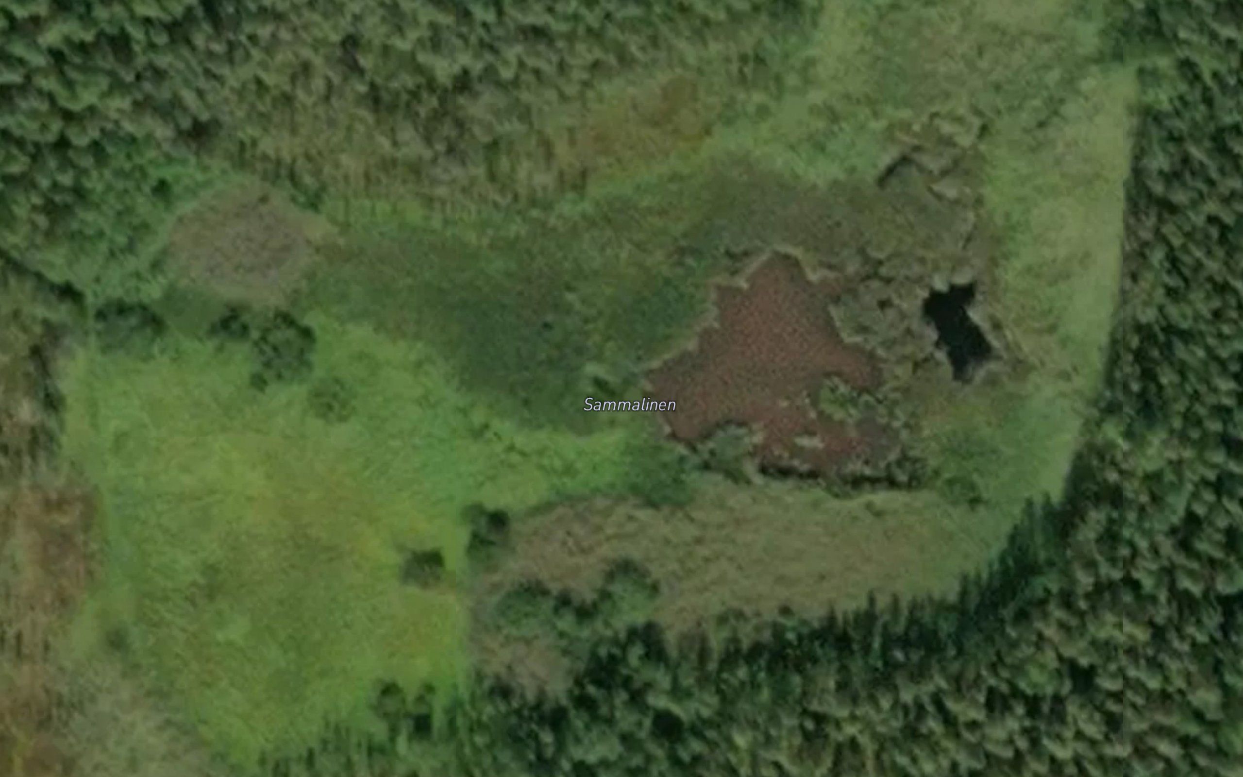 Sammalinen