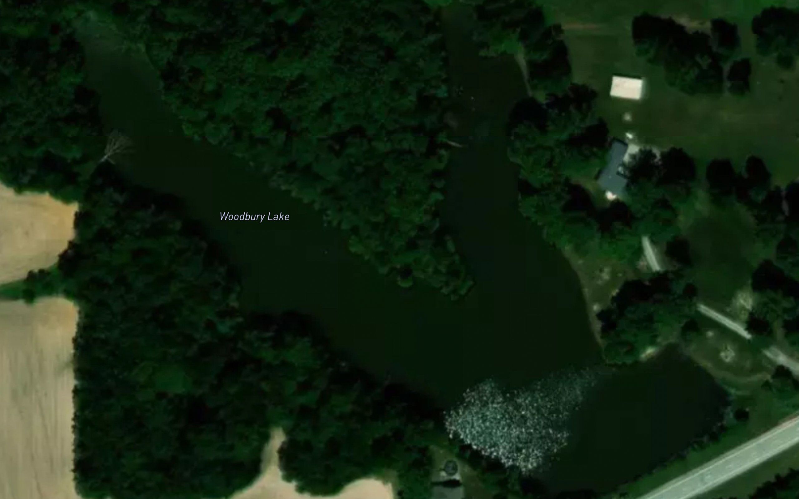 Woodbury Lake