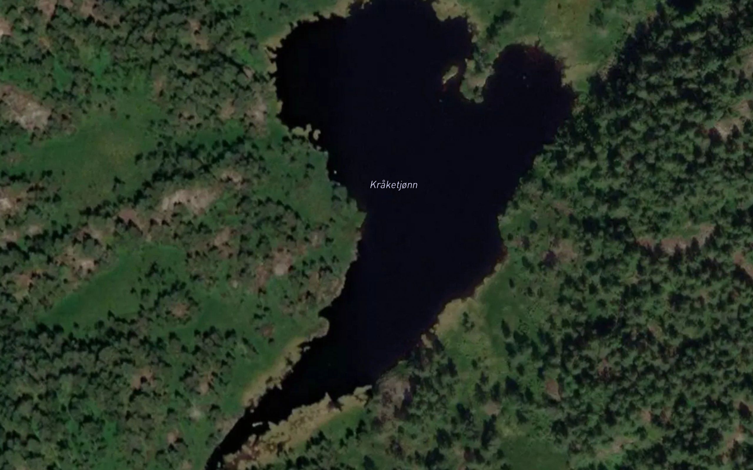 Kraketjorn