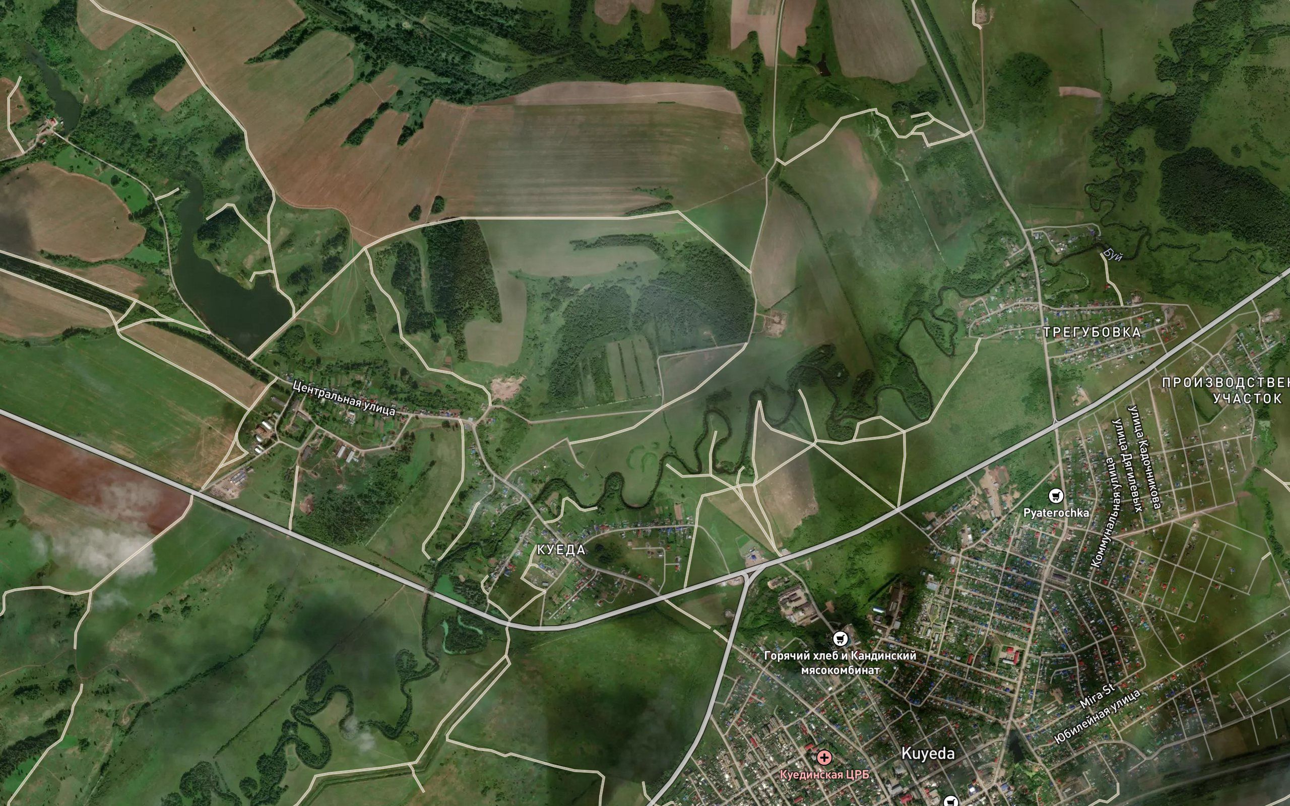 Vikbardinka
