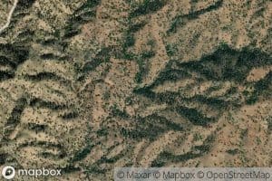 Miller Spring