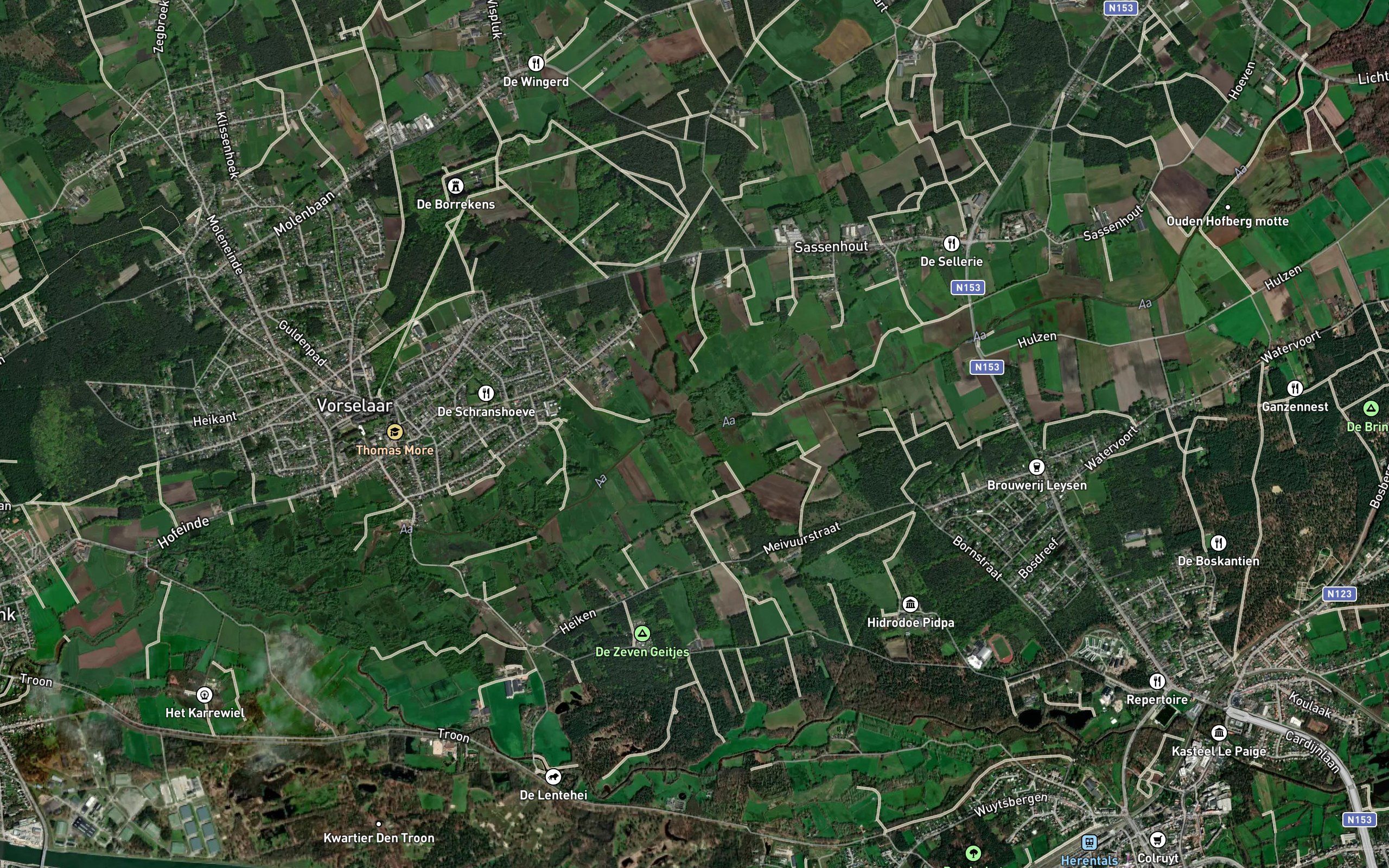 Bosbeek