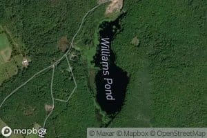Williams Pond