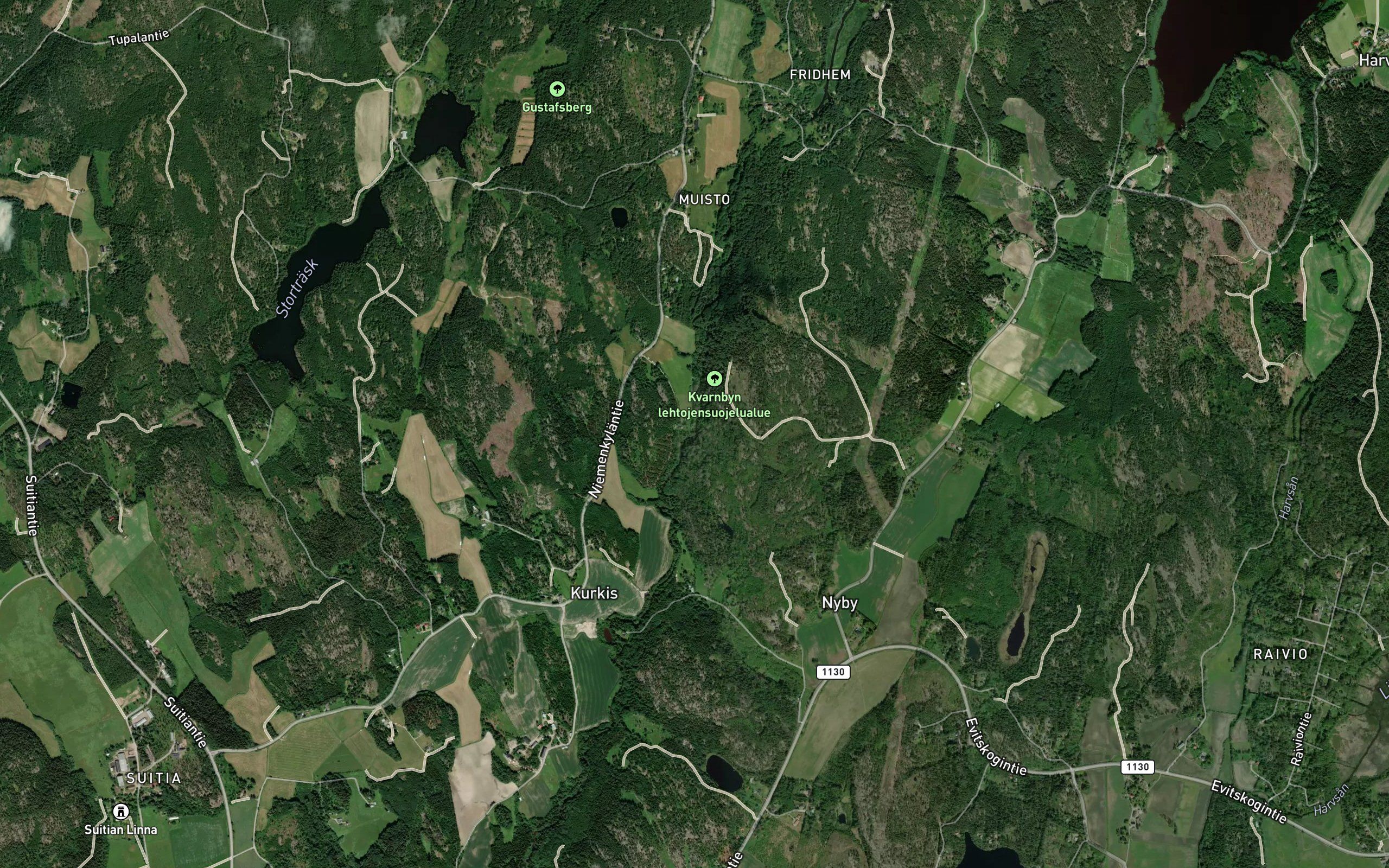 Skogsforsen