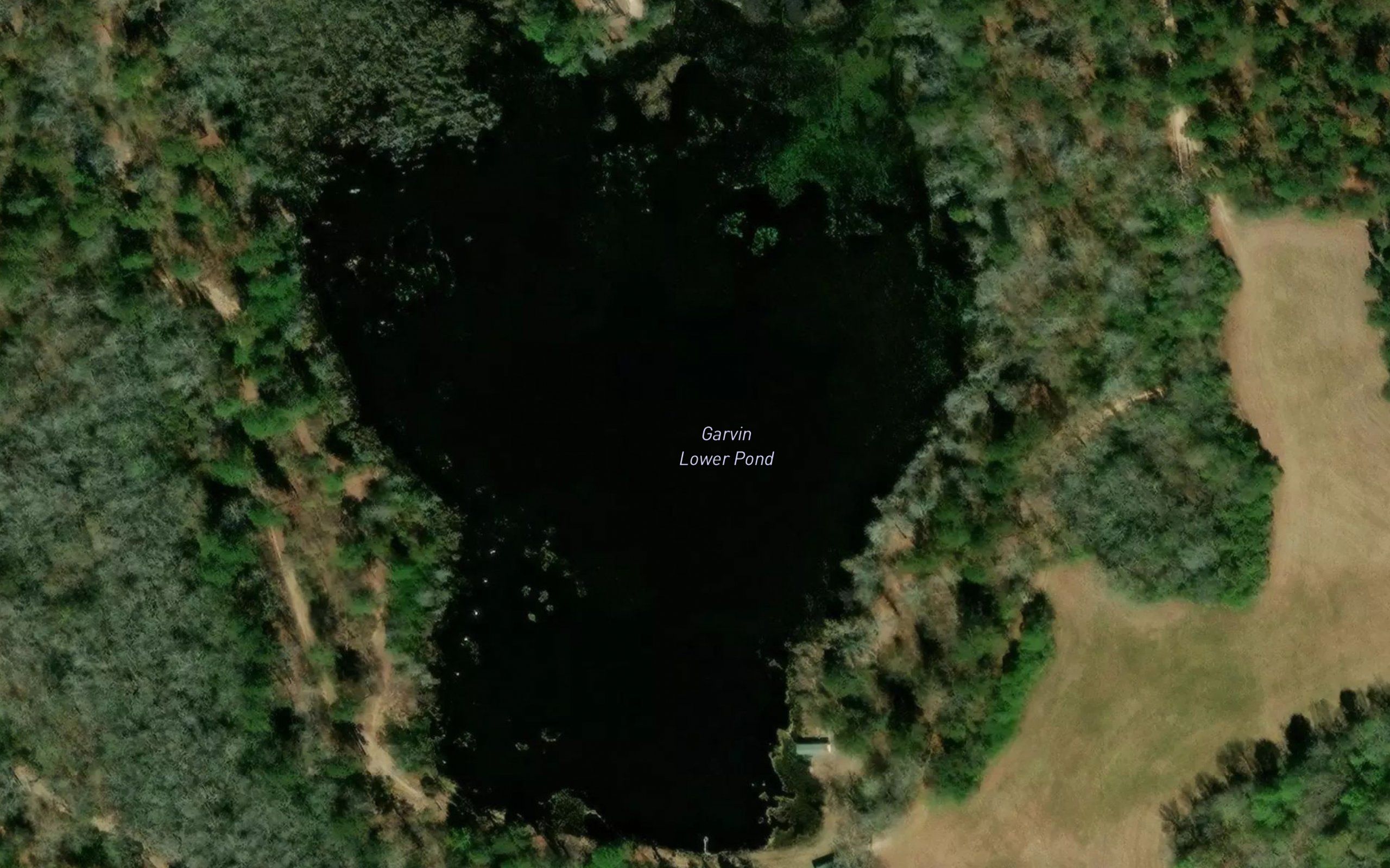 Garvin Lower Pond
