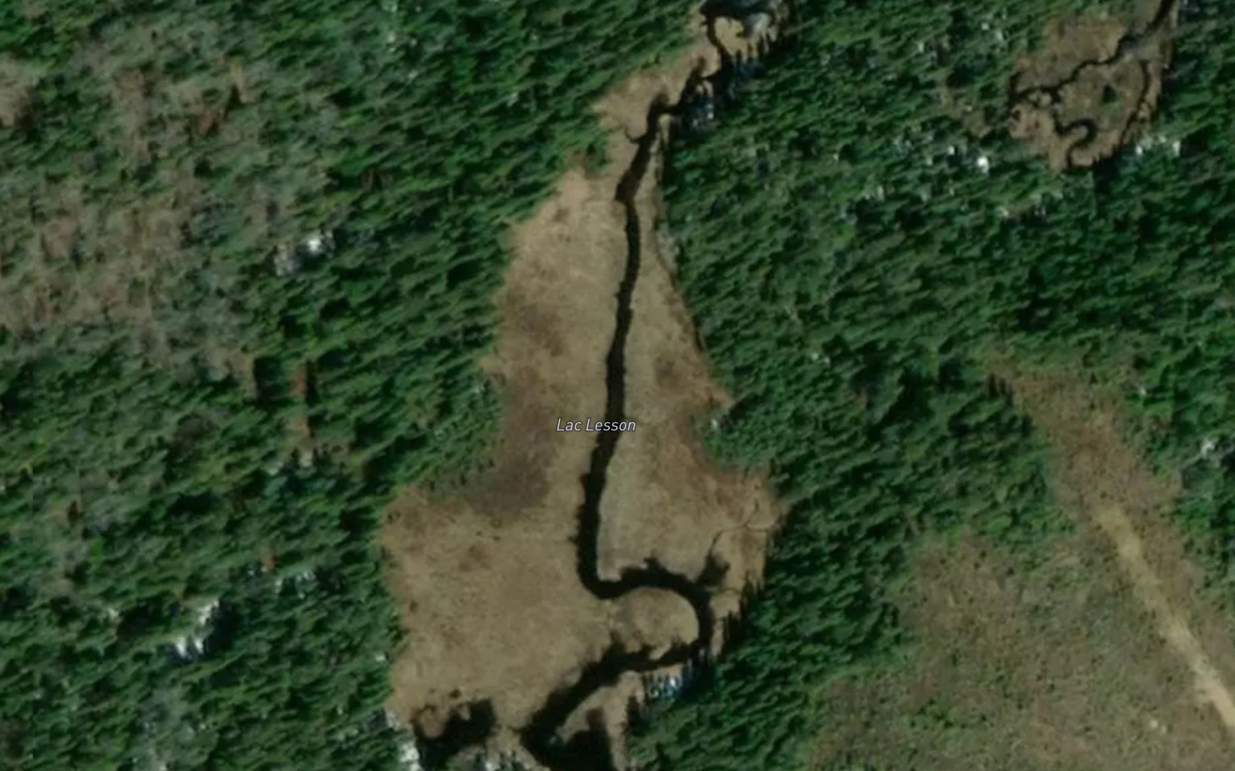 Satellite map of the Lac Lesson