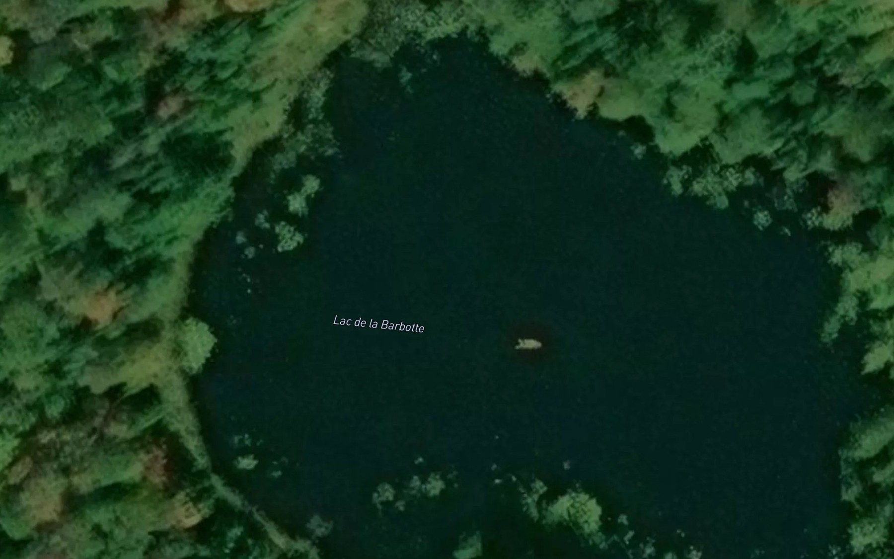 Satellite map of the Lac de la Barbotte