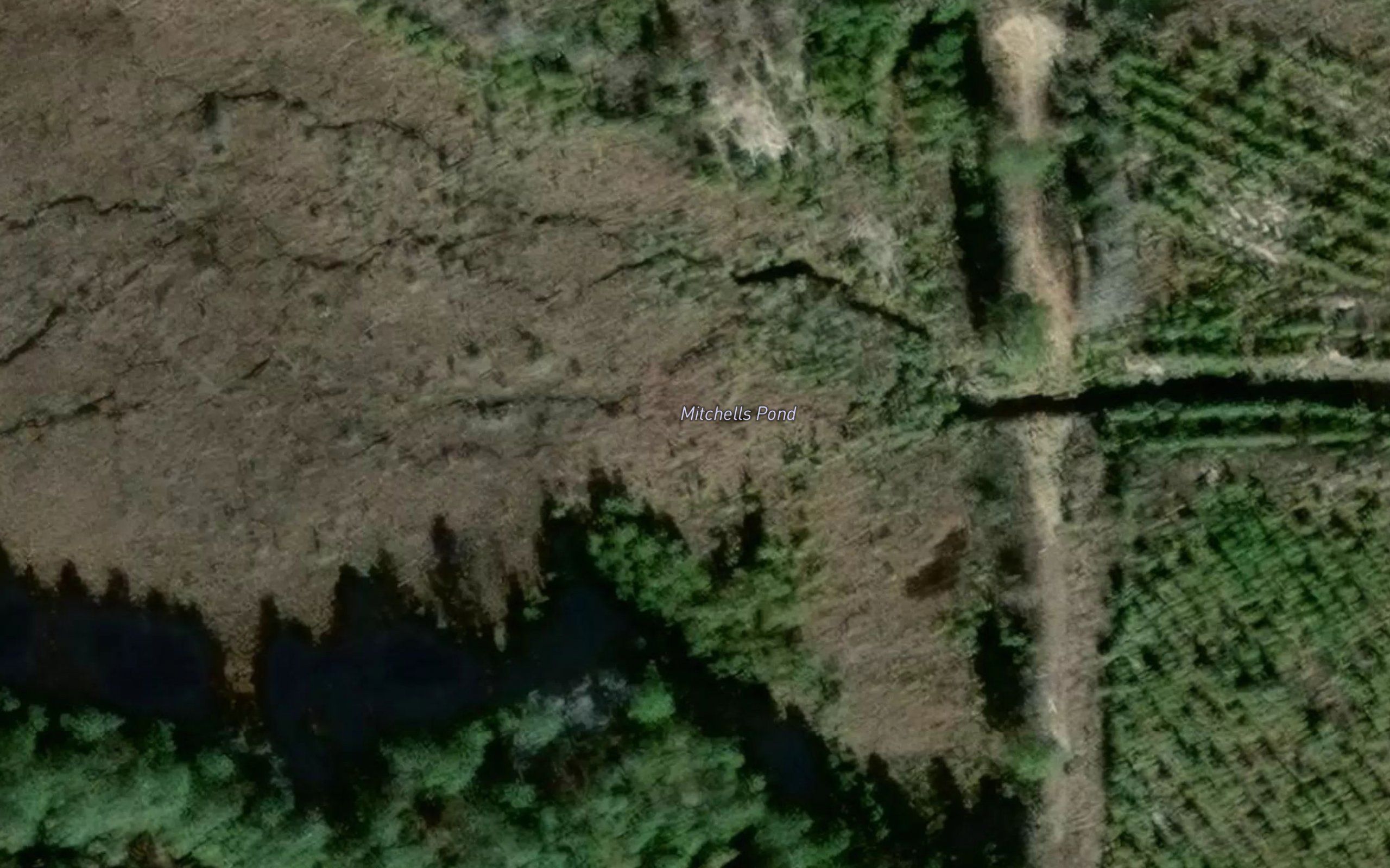 Mitchells Pond