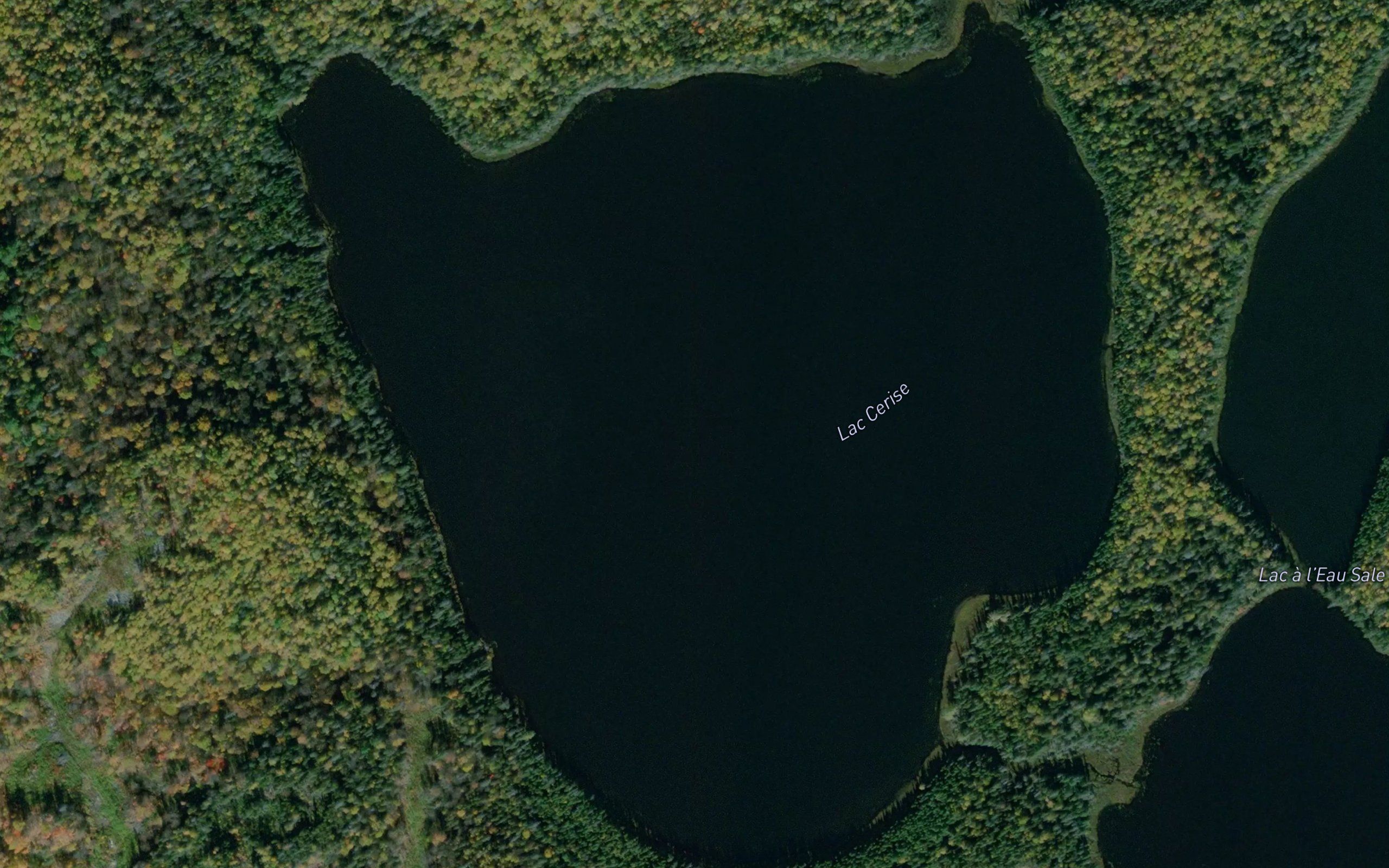 Lac Cerise