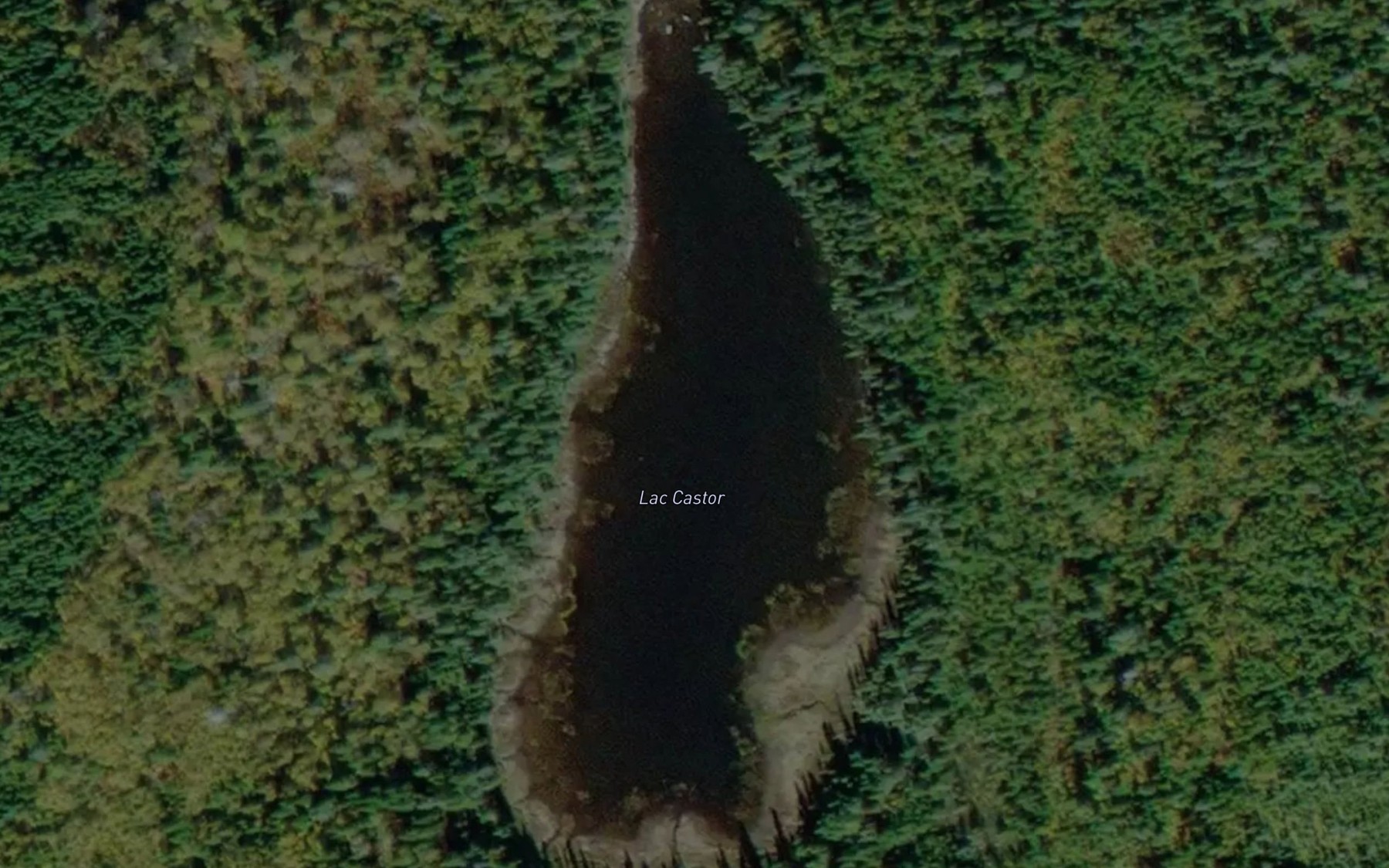 Satellite map of the Lac Castor