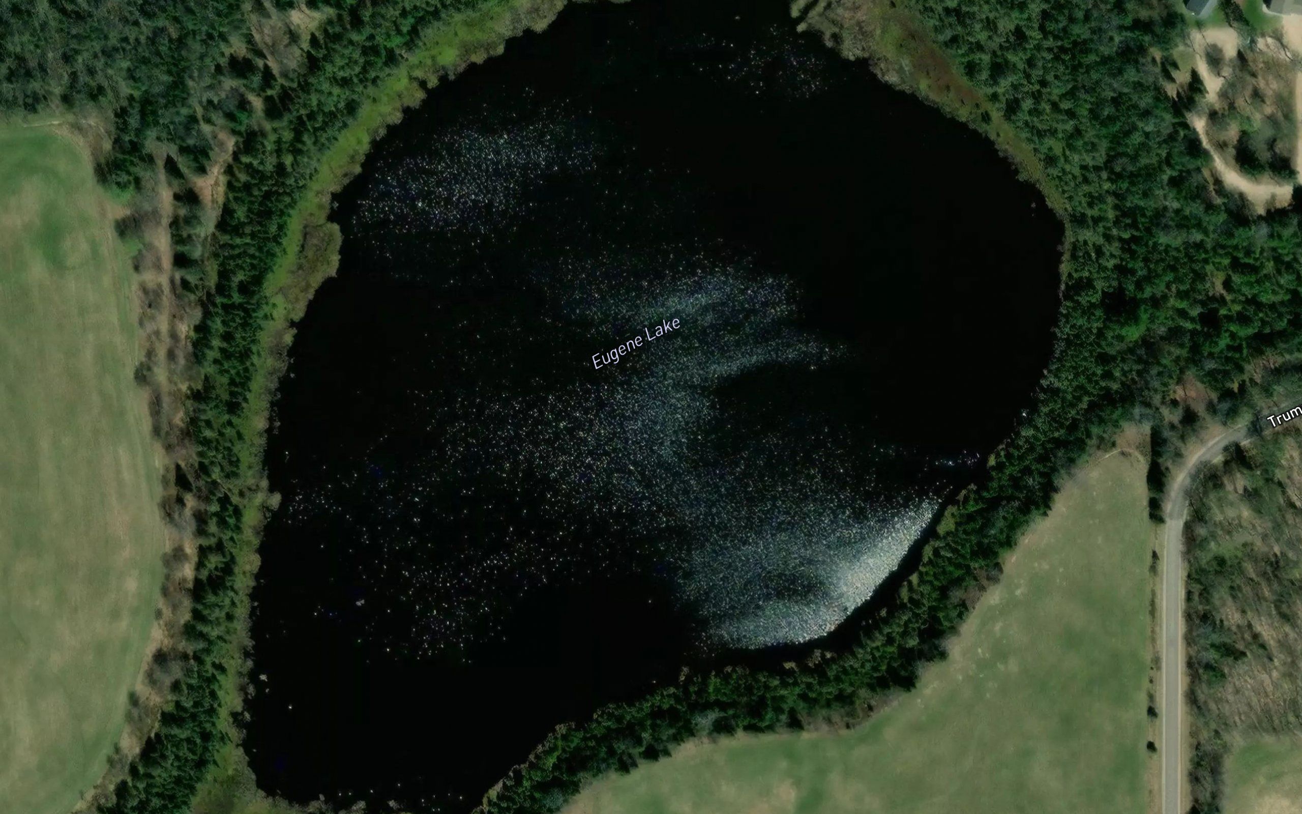 Eugene Lake