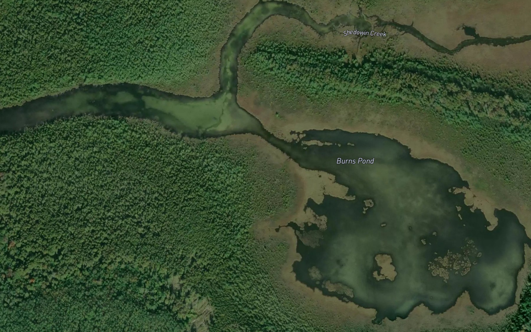 Satellite map of the Barns Pond