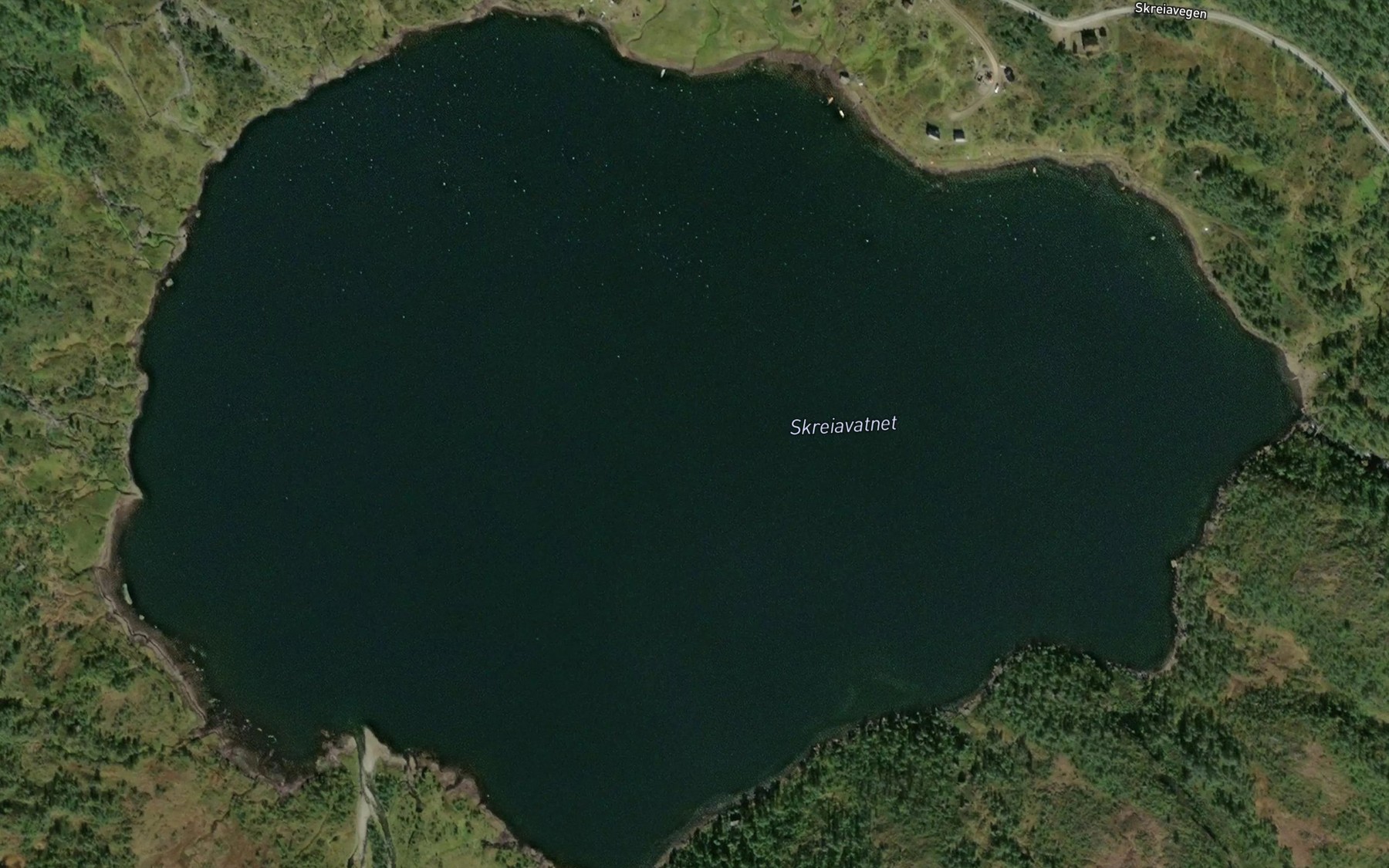 Satellite map of the Skreiavatnet