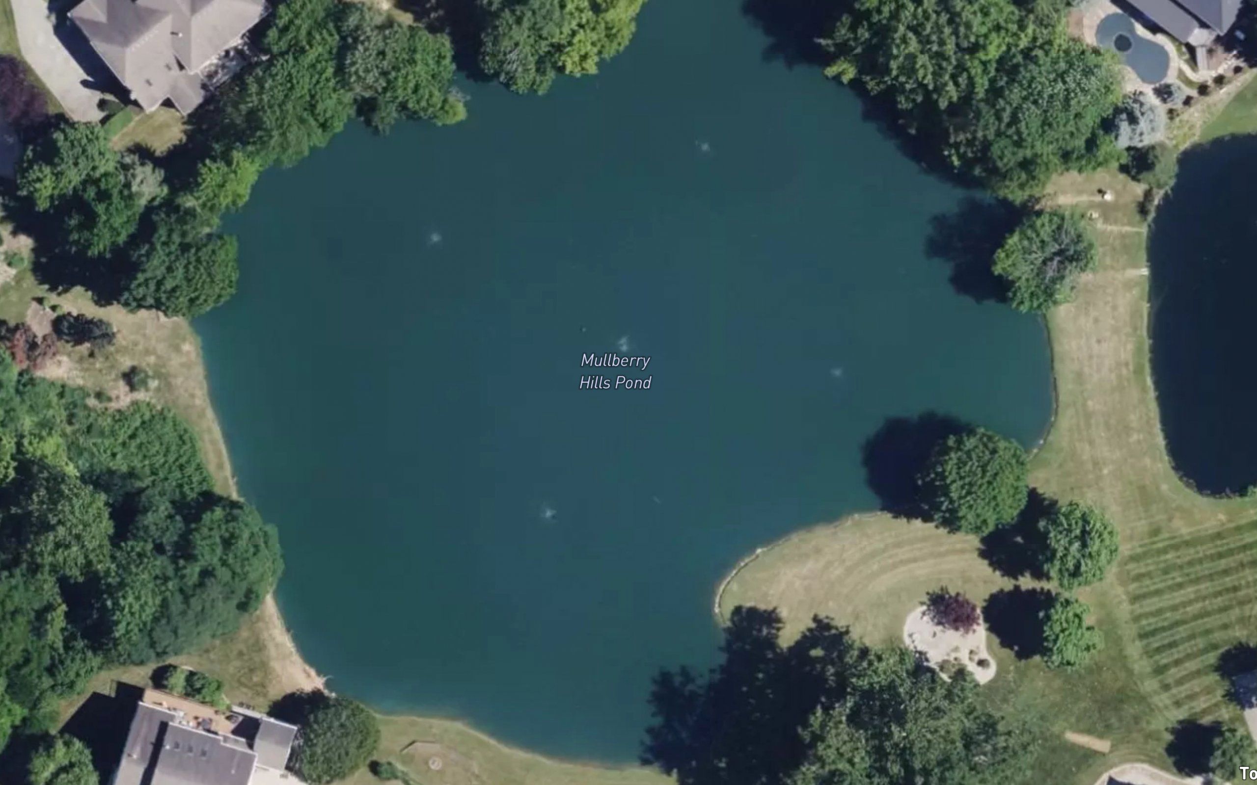 Mullberry Hills Pond