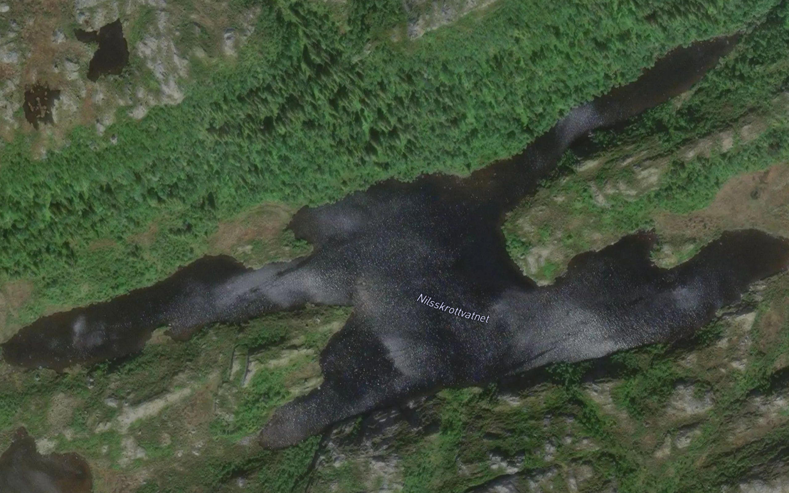 Nilsskrottvatnet