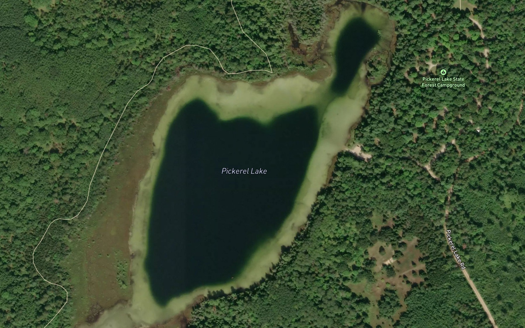 Satellite map of the Pickerel Lake
