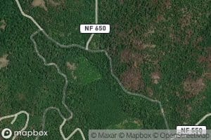 North Fork Abbott Creek