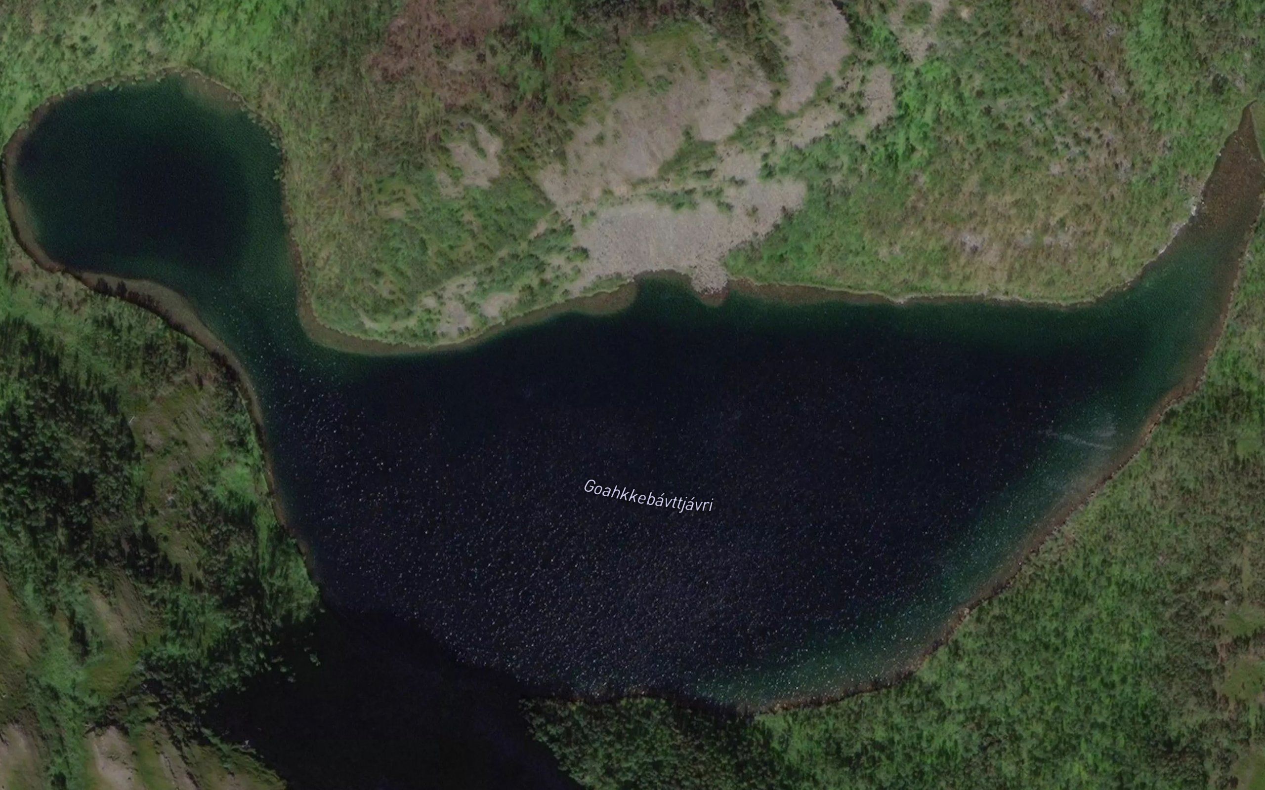 Goakkebavtjavri