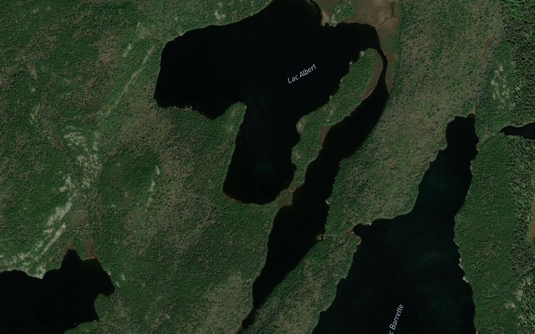 Satellite map of the Lac Albert