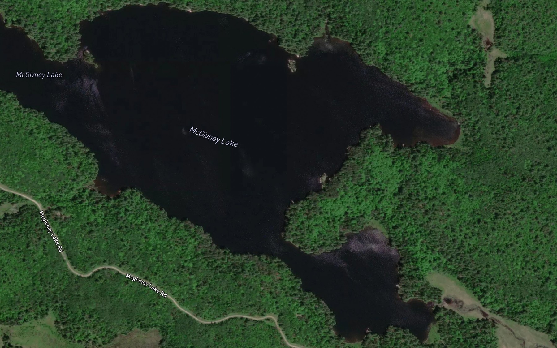 Satellite map of the McGivney Lake
