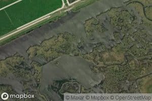 Bayou Leche