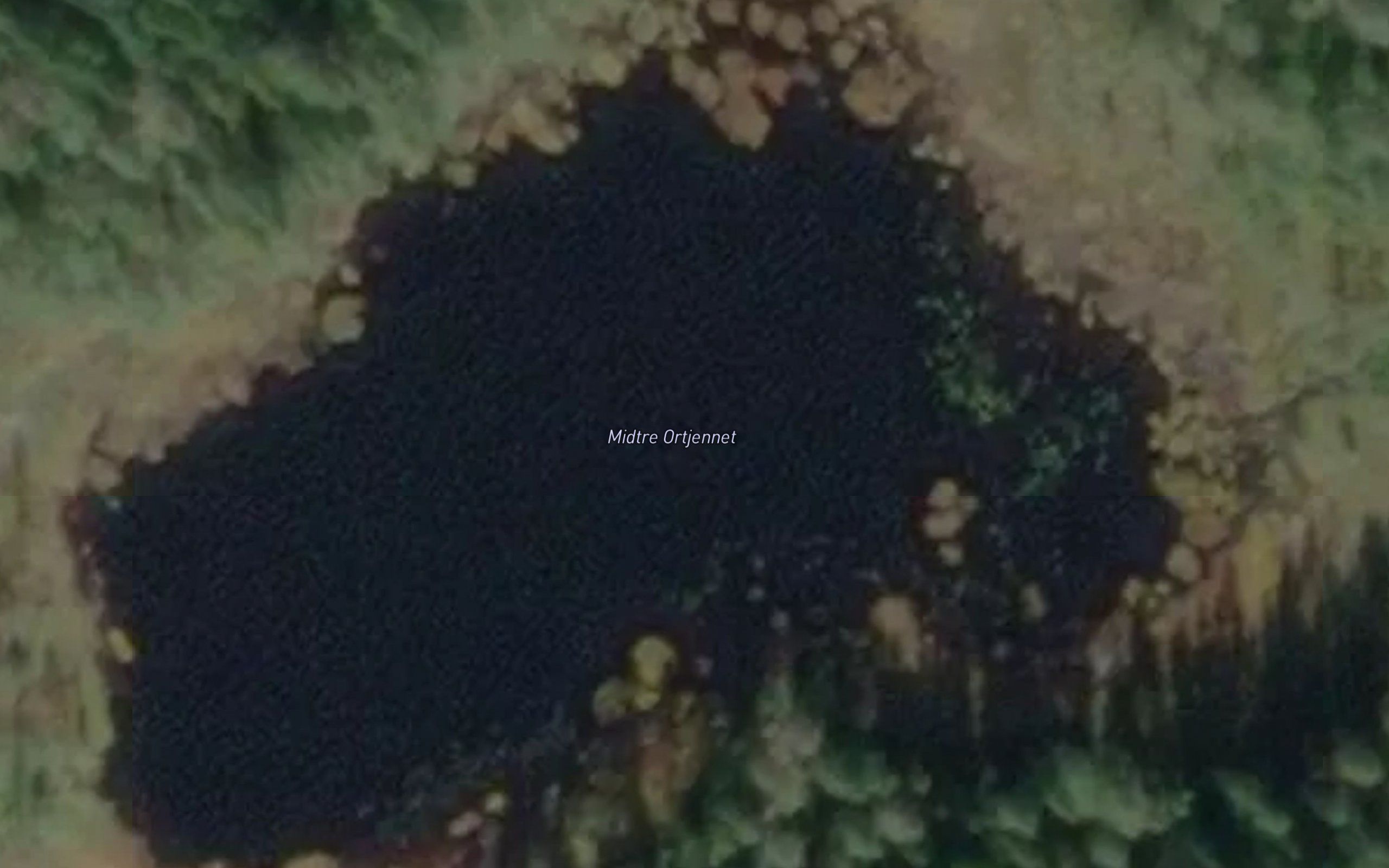 Oldertjerna