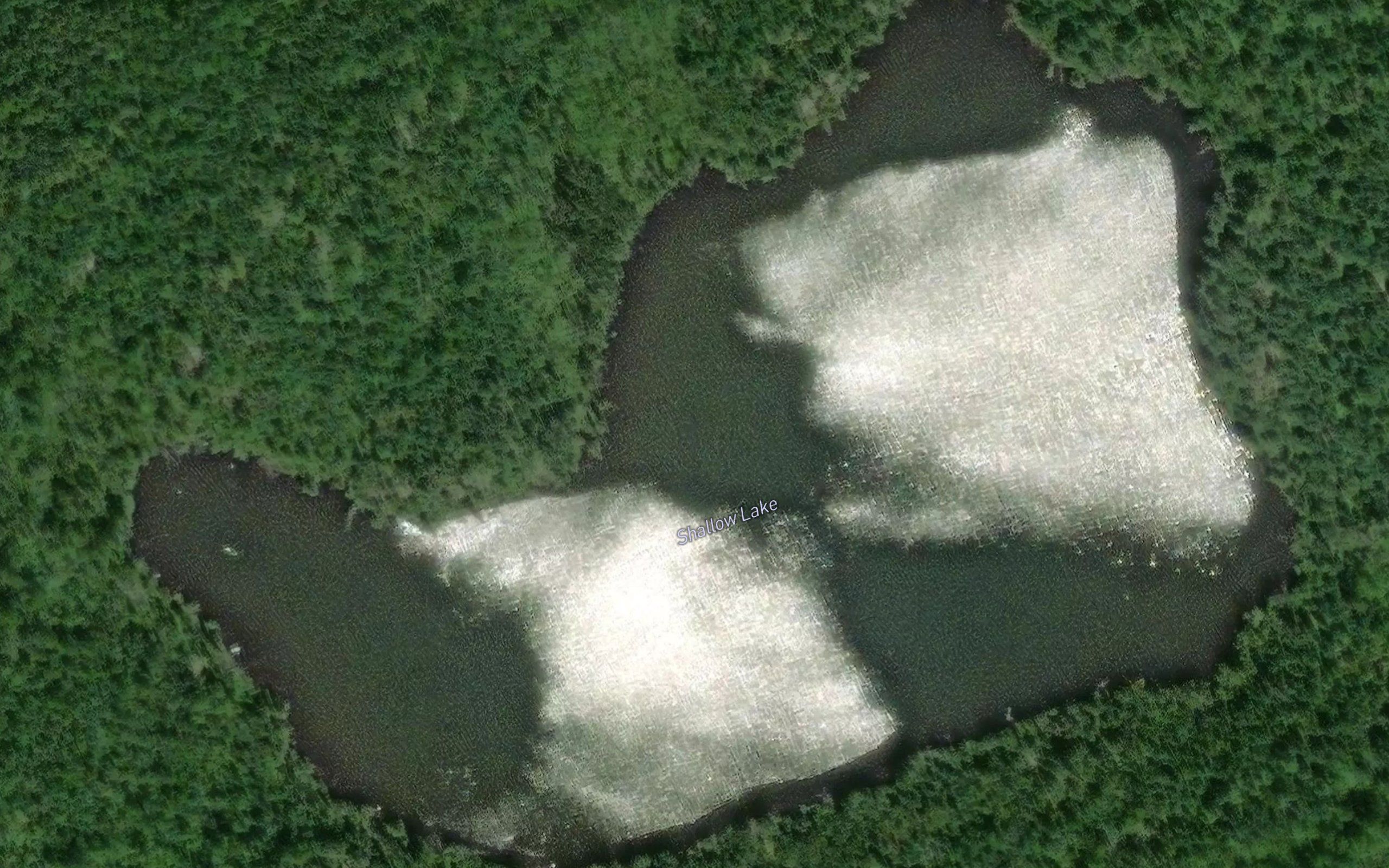 Shallow Lake