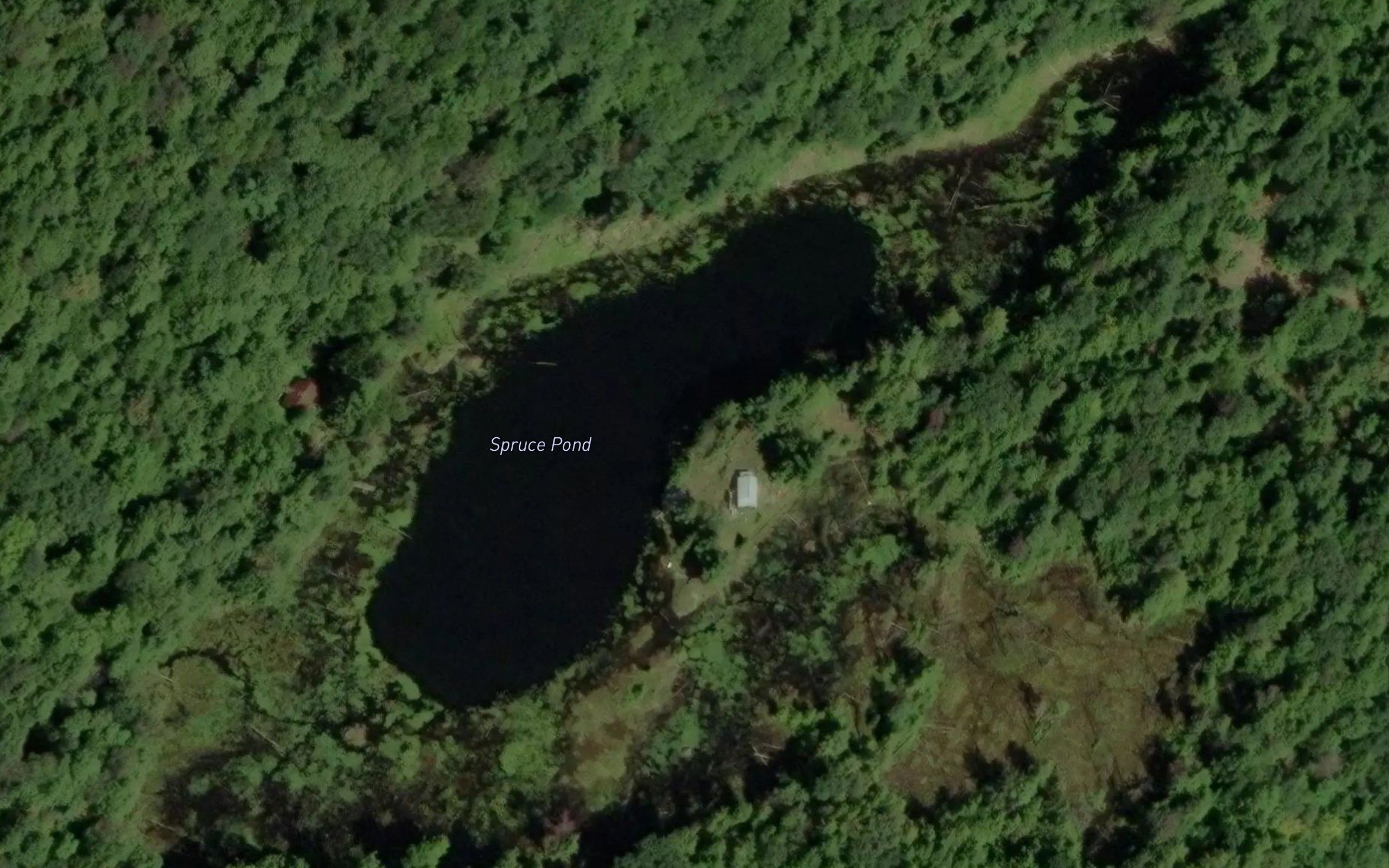 Spruce Pond