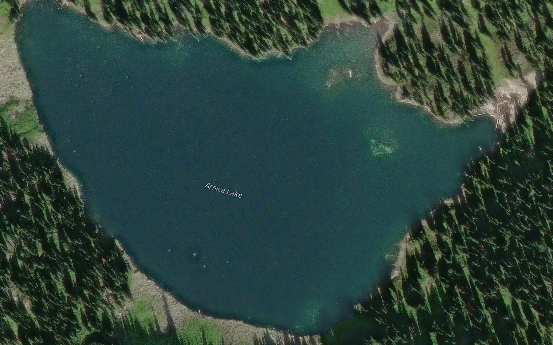 Satellite map of the Arnica Lake
