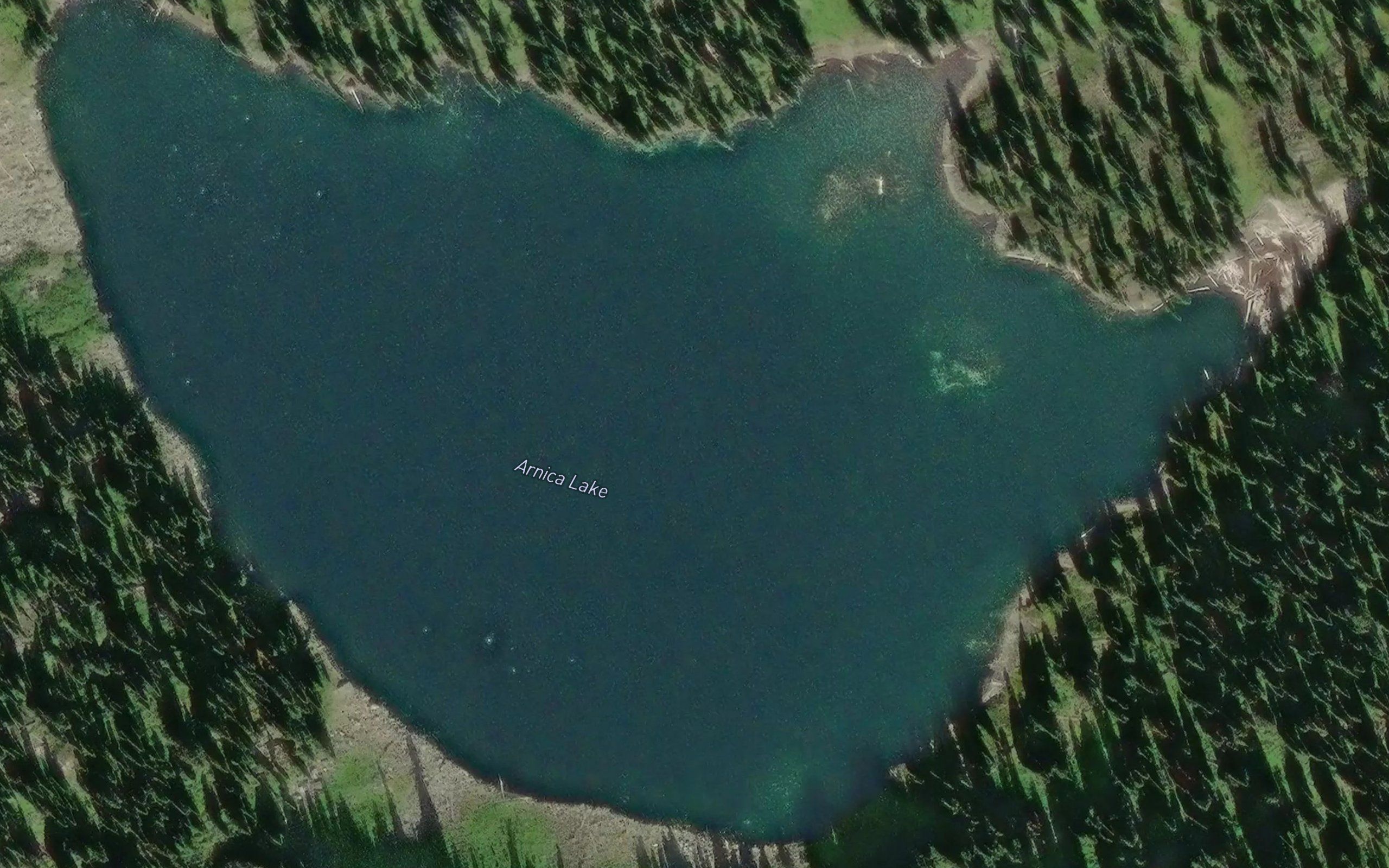 Arnica Lake