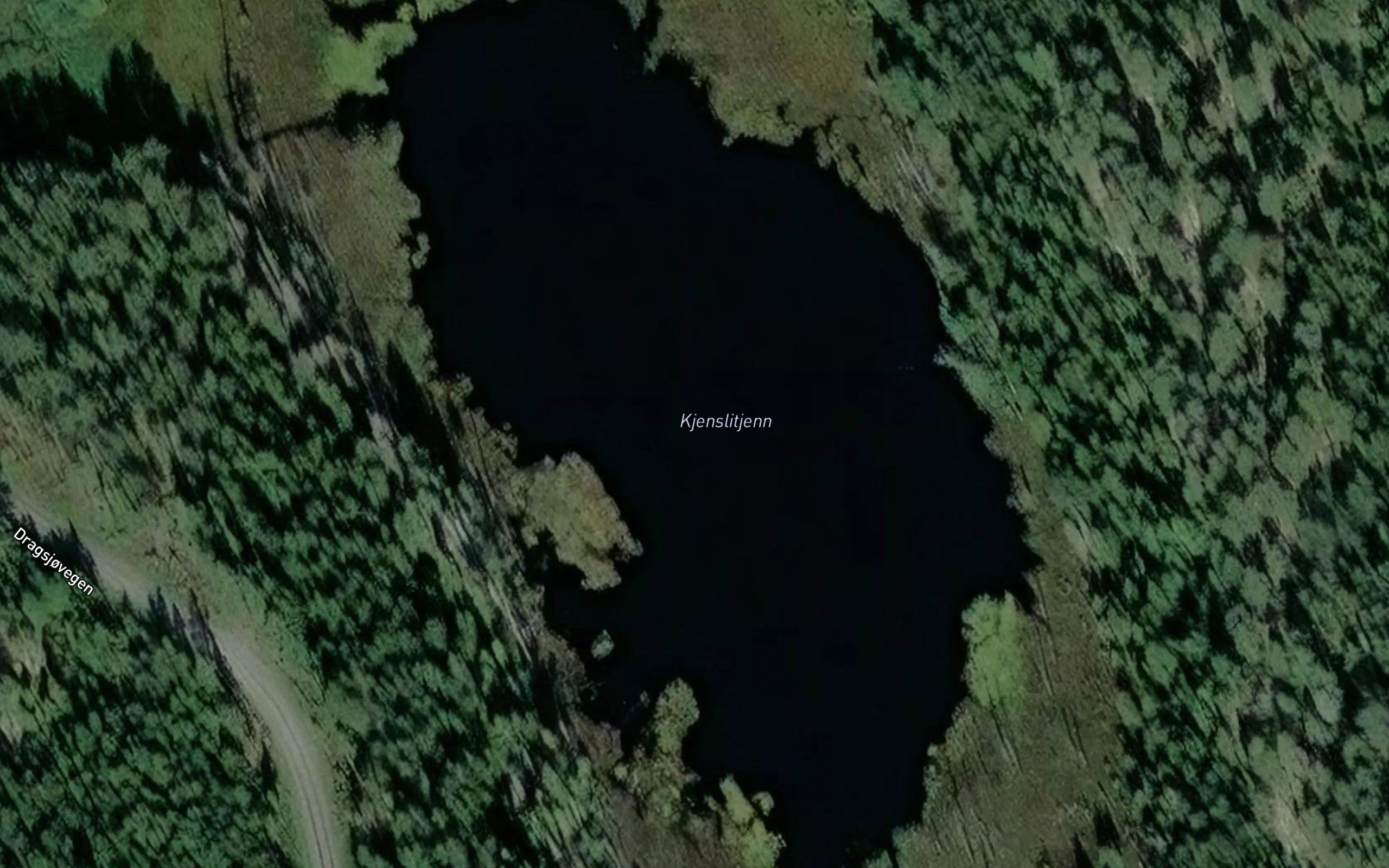 Kjenslitjern