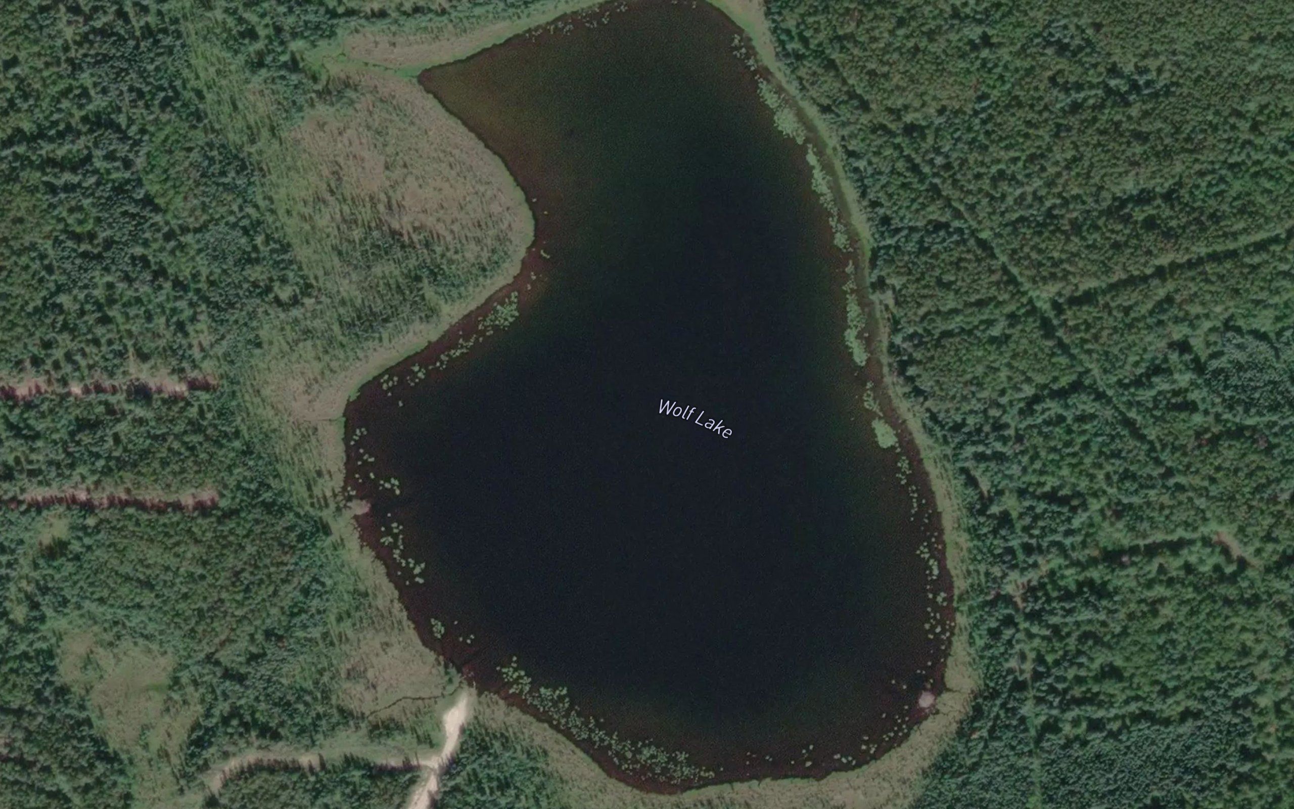 Wolf Lake