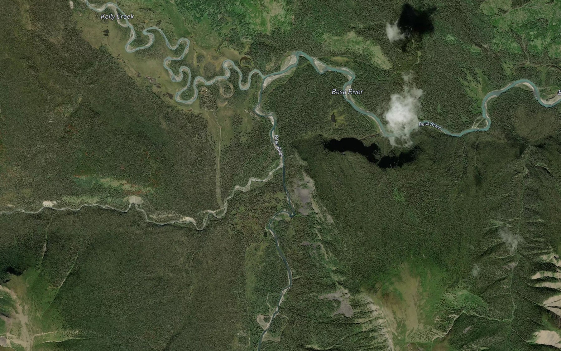 Satellite map of the Petrie Creek