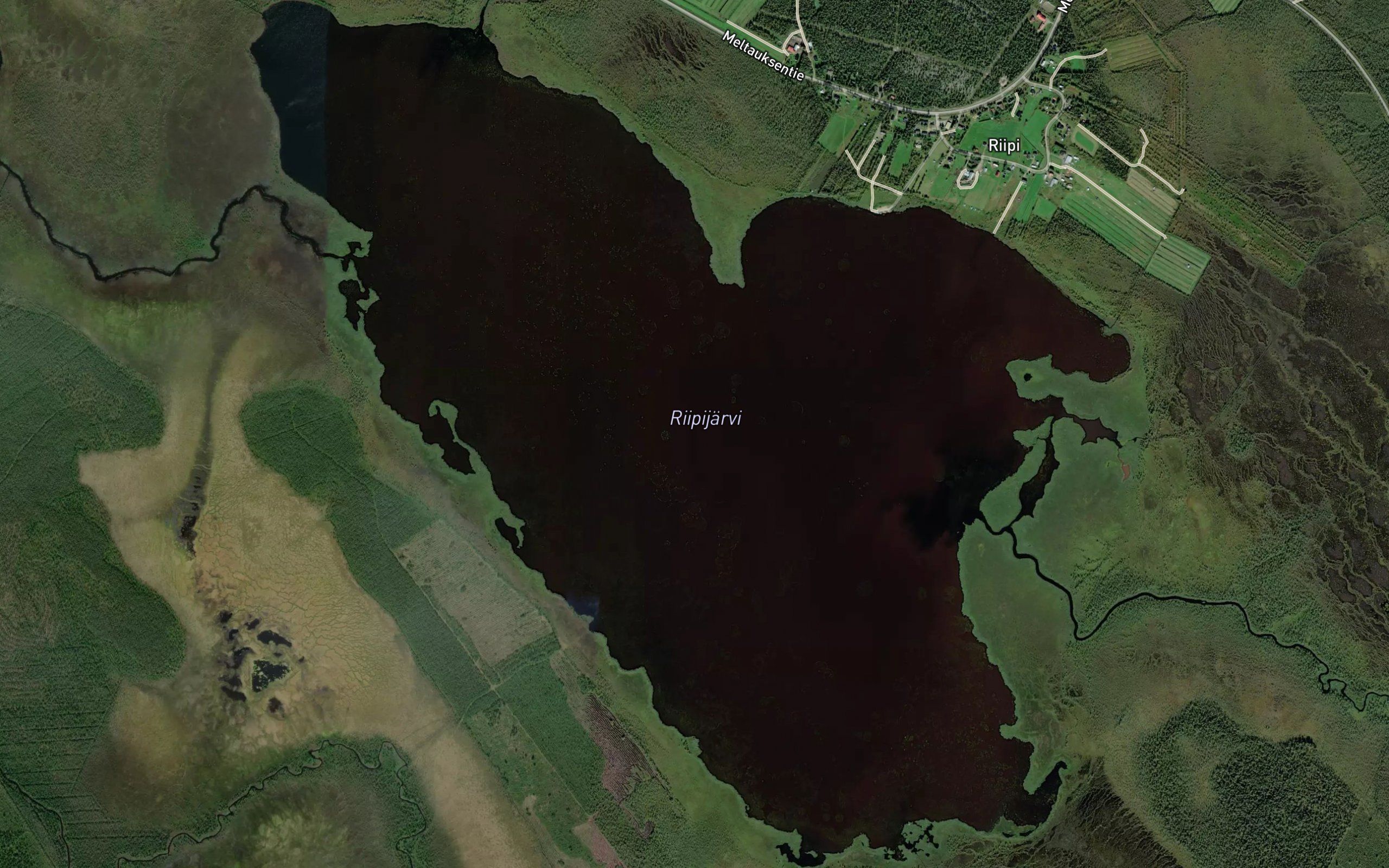 Riipijarvi