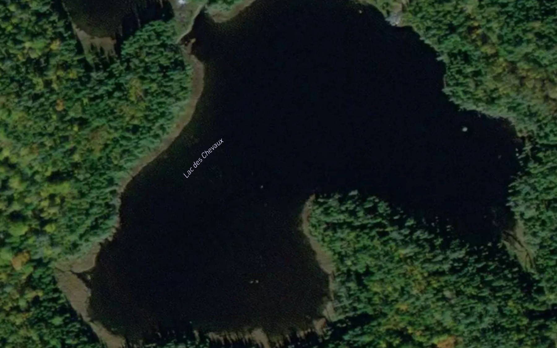 Satellite map of the Lac des Chevaux