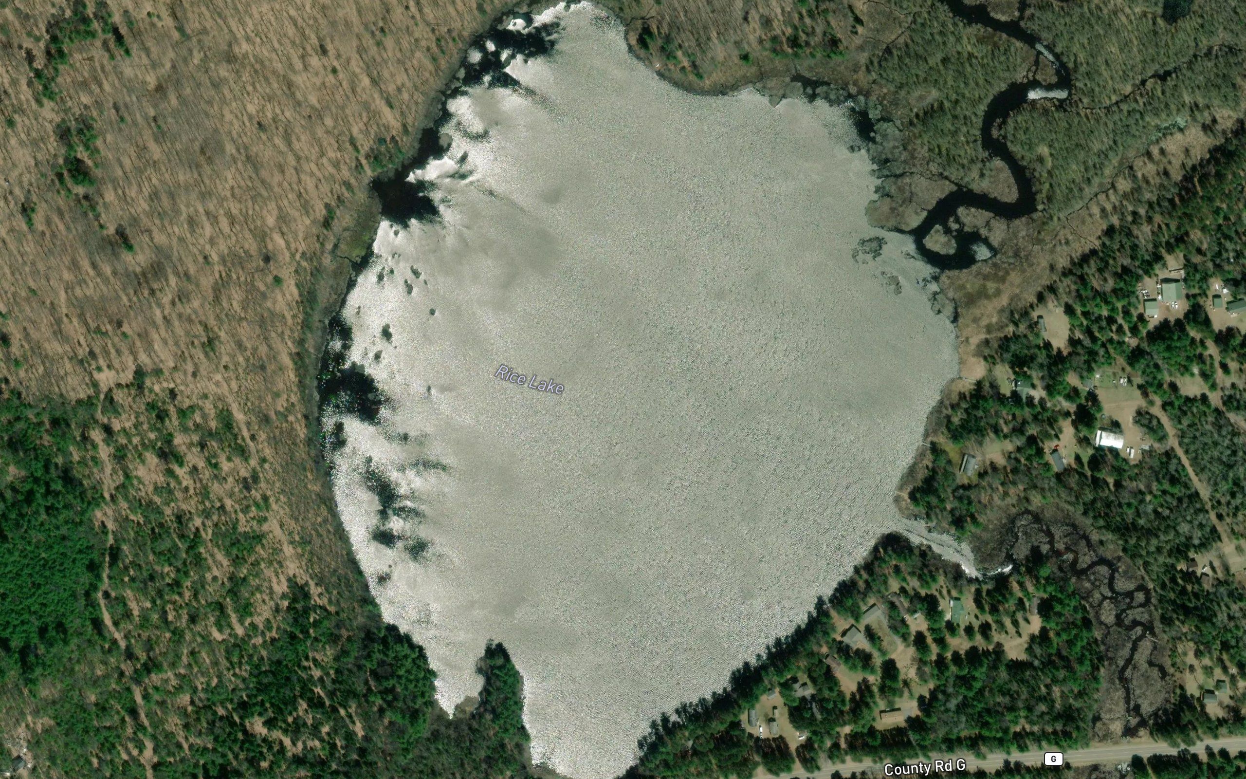 Rice Lake