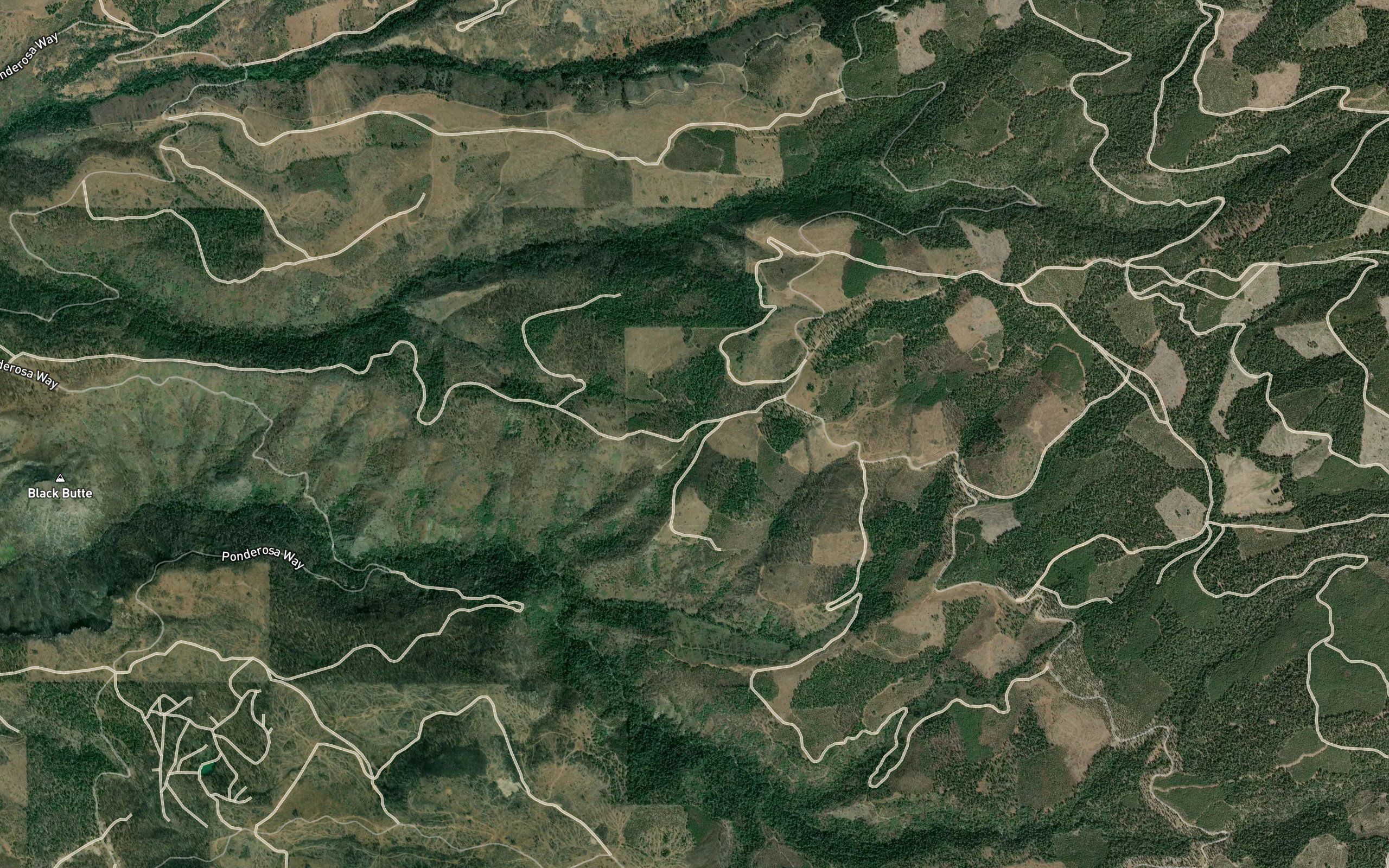 Doty Spring