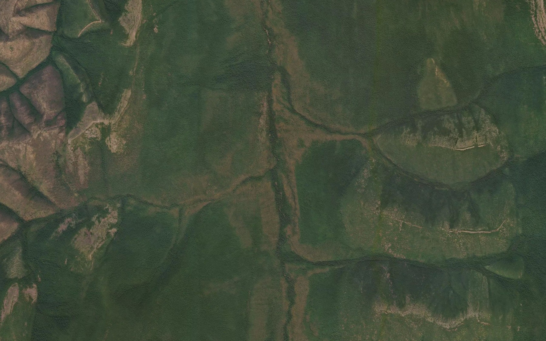 Satellite map of the Lesistyy