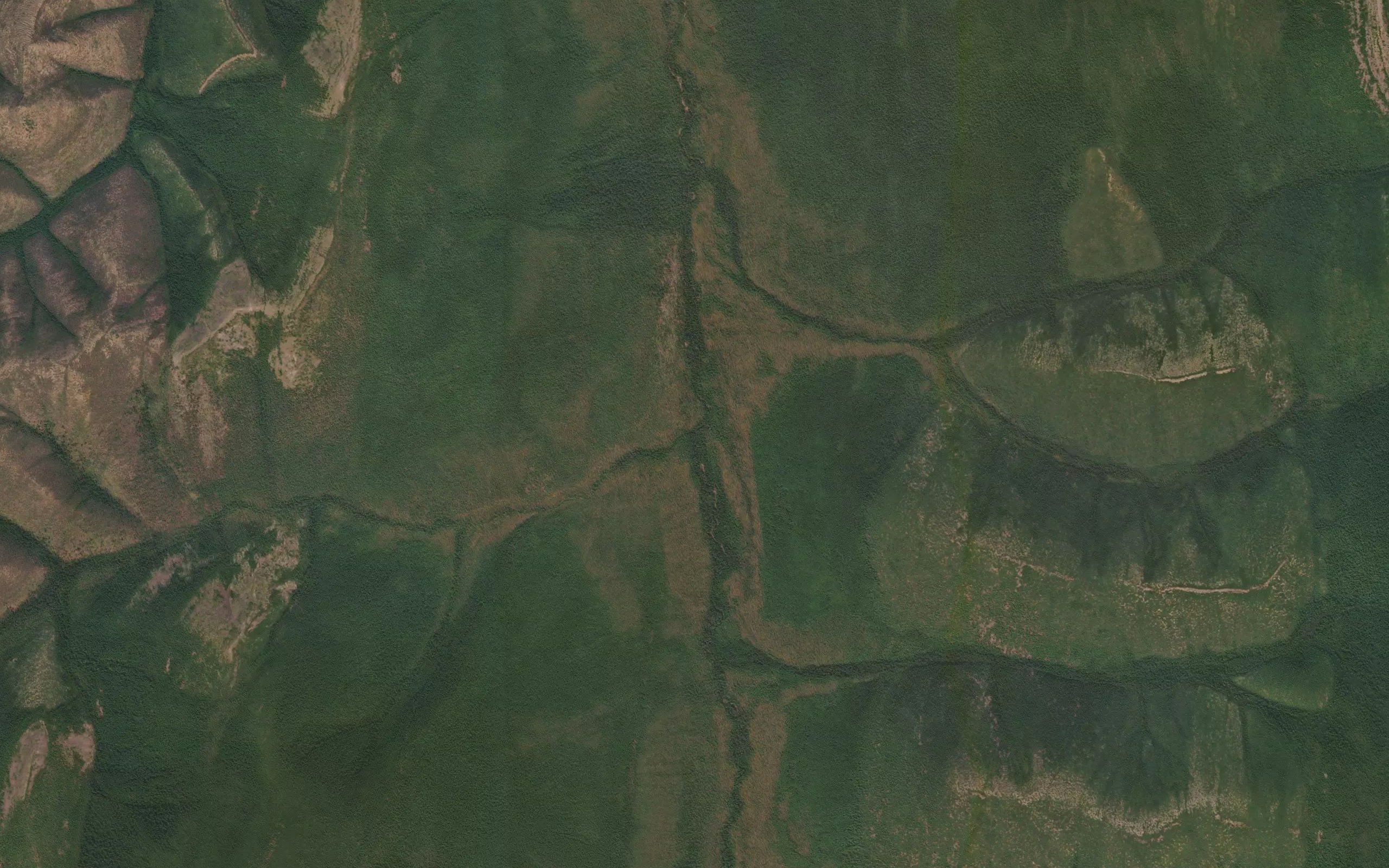 Lesistyy