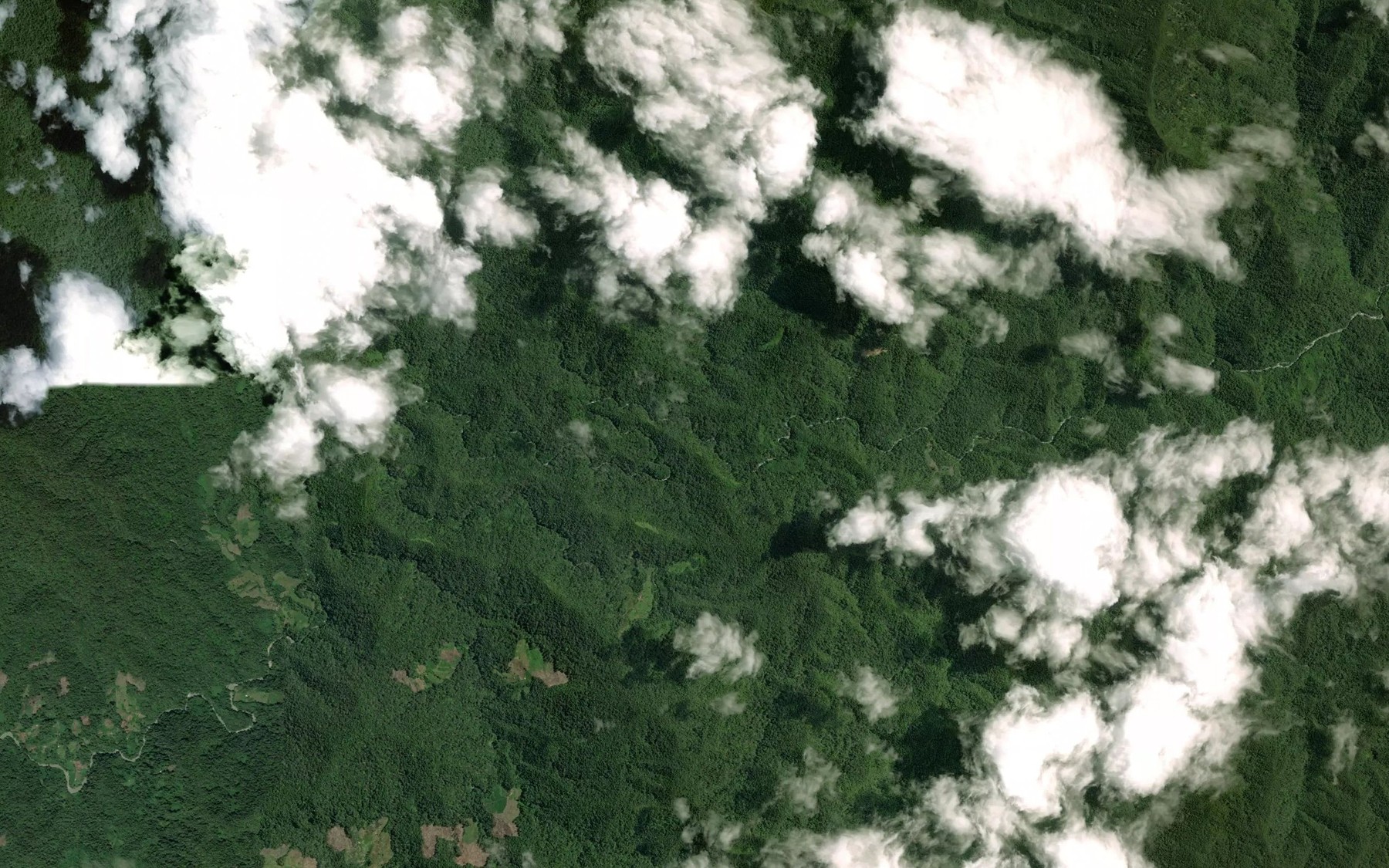 Satellite map of the Rio Bracito